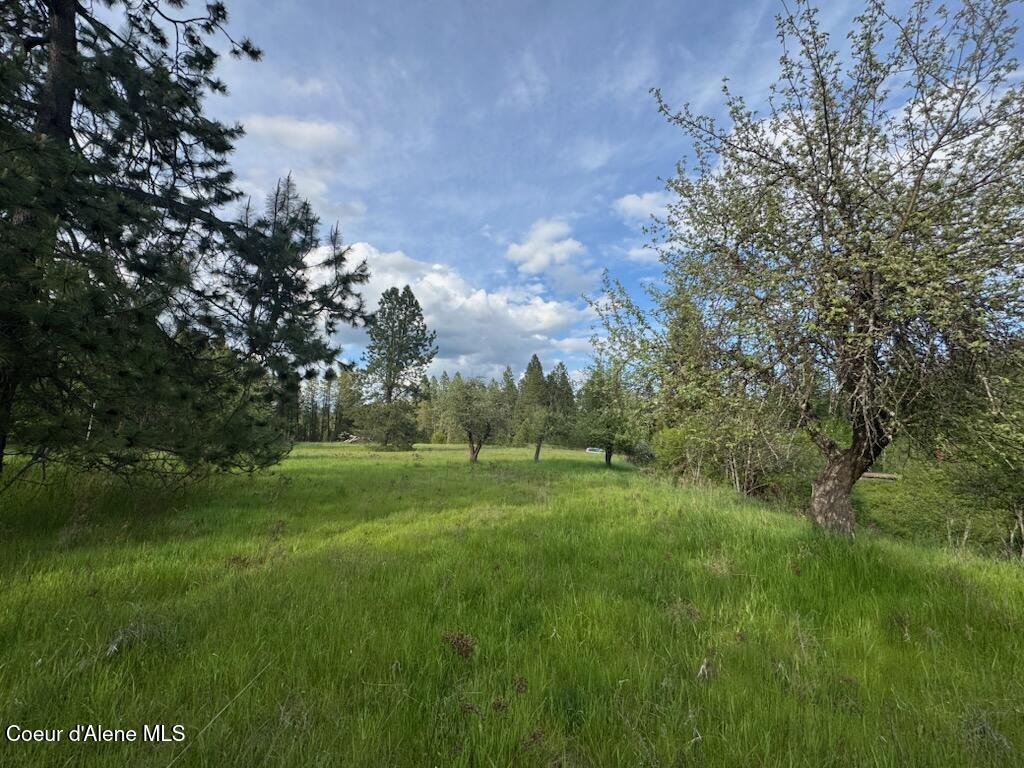 NKA N Haughey Dr, Lot 10 Circle, Cocolalla, Alaska image 38
