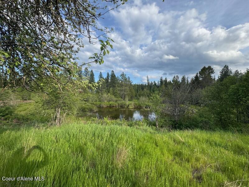 NKA N Haughey Dr, Lot 10 Circle, Cocolalla, Alaska image 36
