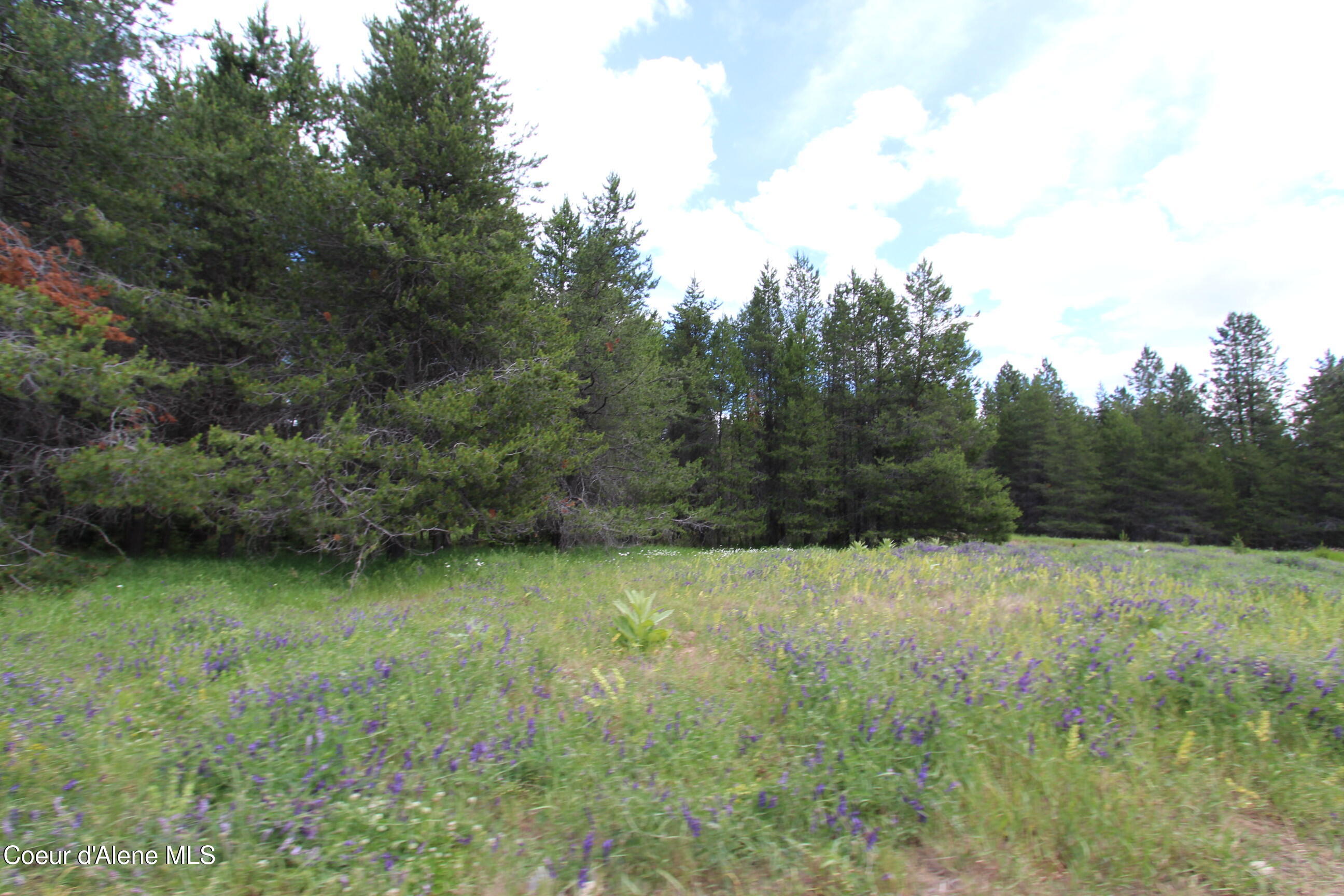 NKA N Haughey Dr, Lot 10 Circle, Cocolalla, Alaska image 10