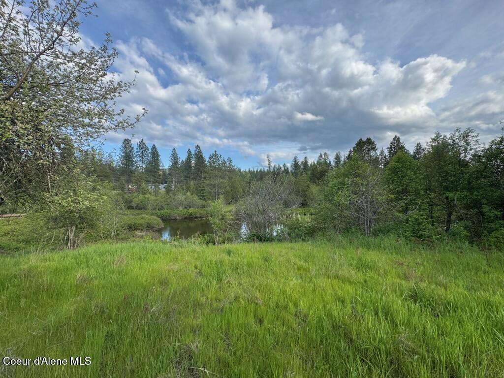 NKA N Haughey Dr, Lot 10 Circle, Cocolalla, Alaska image 3