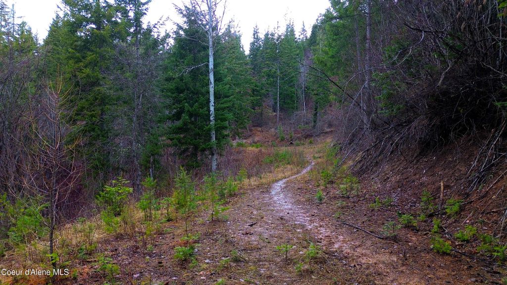 Photo of NNA Winchester Lane Lane, St. Maries, ID 83861 (MLS # 26-3204)