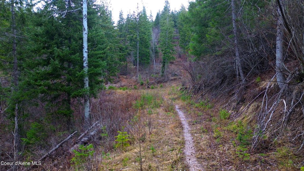 Photo of NNA Winchester Lane Lane, St. Maries, ID 83861 (MLS # 26-3204)