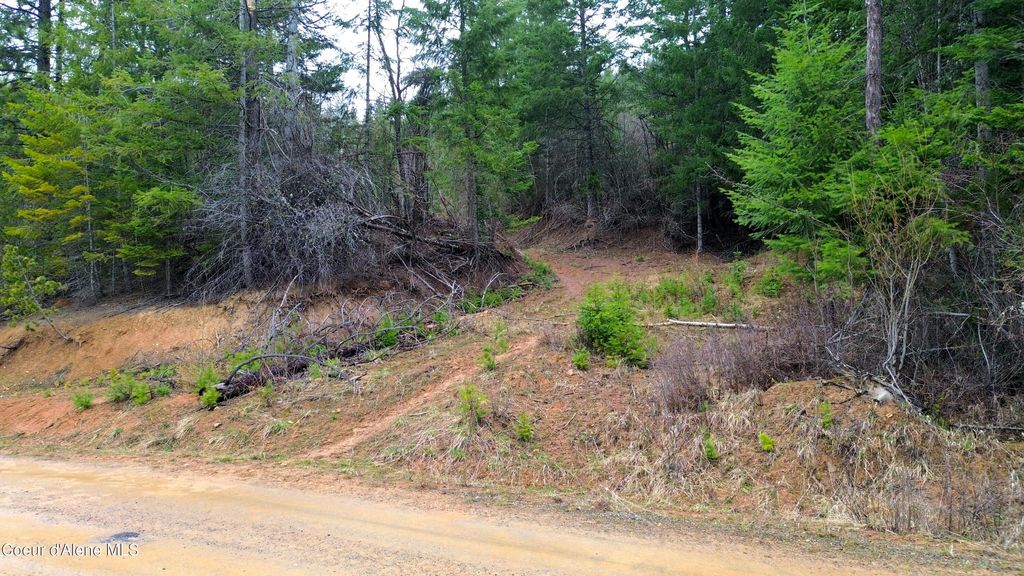 Photo of NNA Winchester Lane Lane, St. Maries, ID 83861 (MLS # 26-3204)