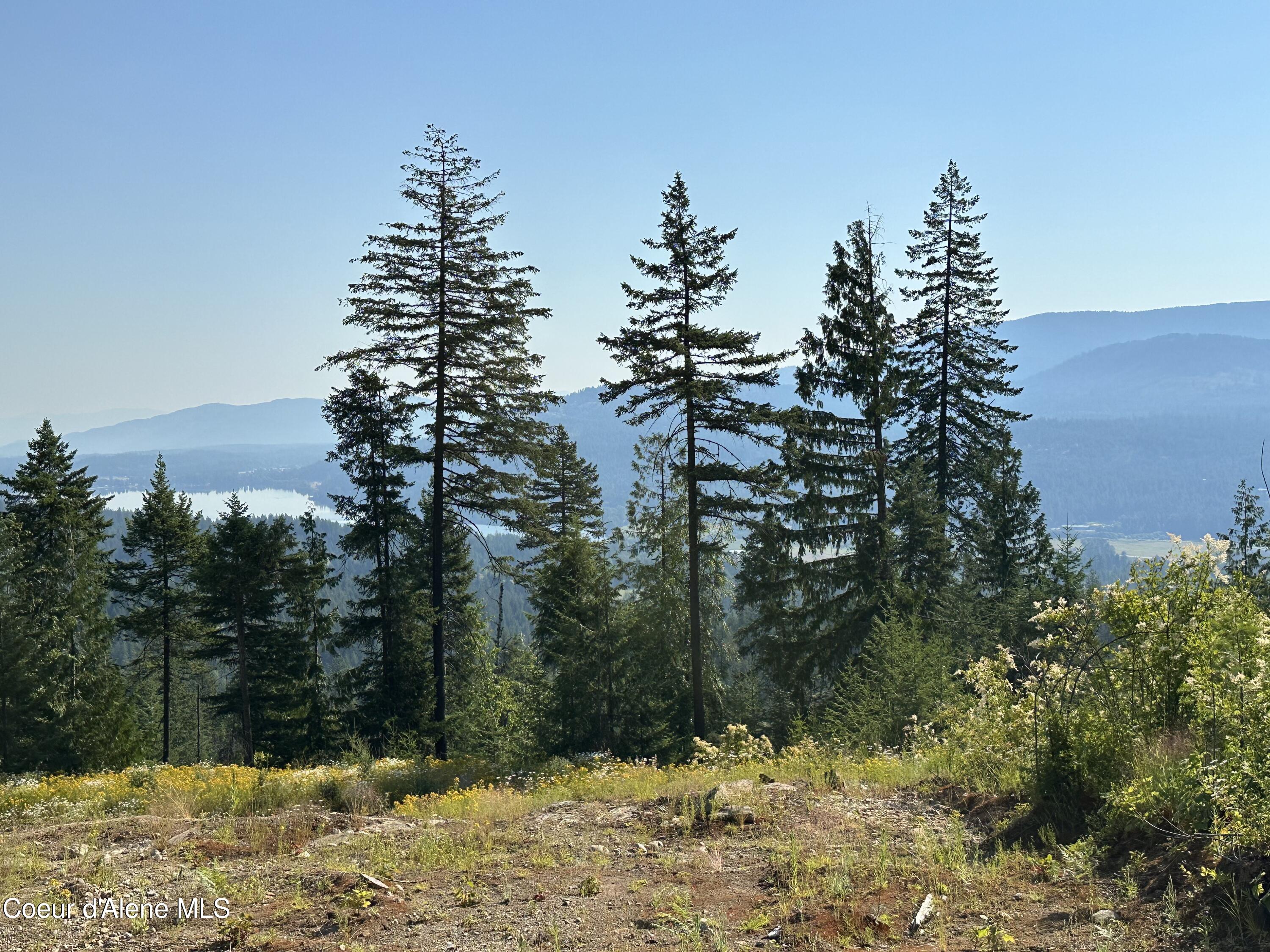 NKA Fish Creek, Cocolalla, Idaho image 11