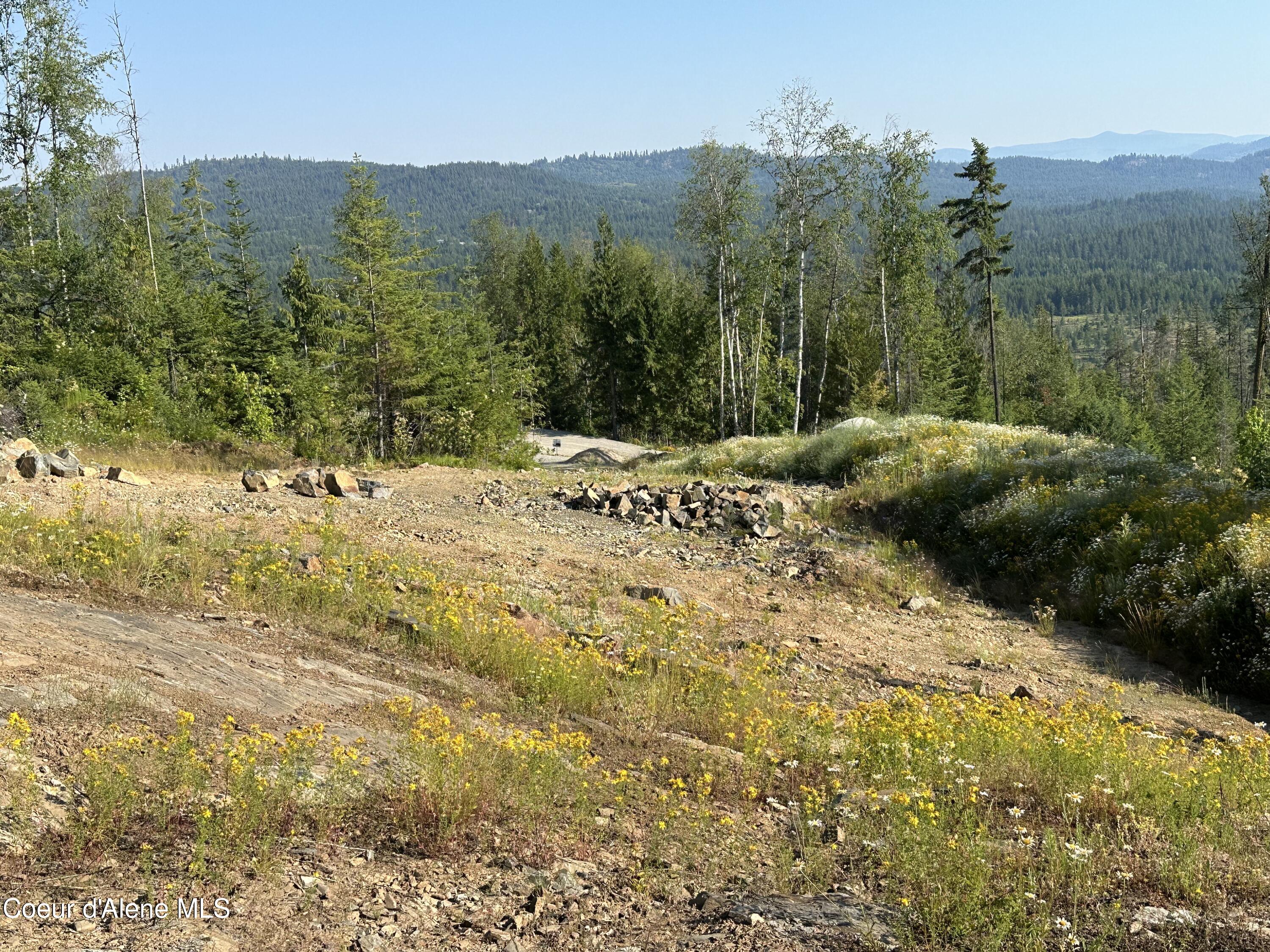 NKA Fish Creek, Cocolalla, Idaho image 6