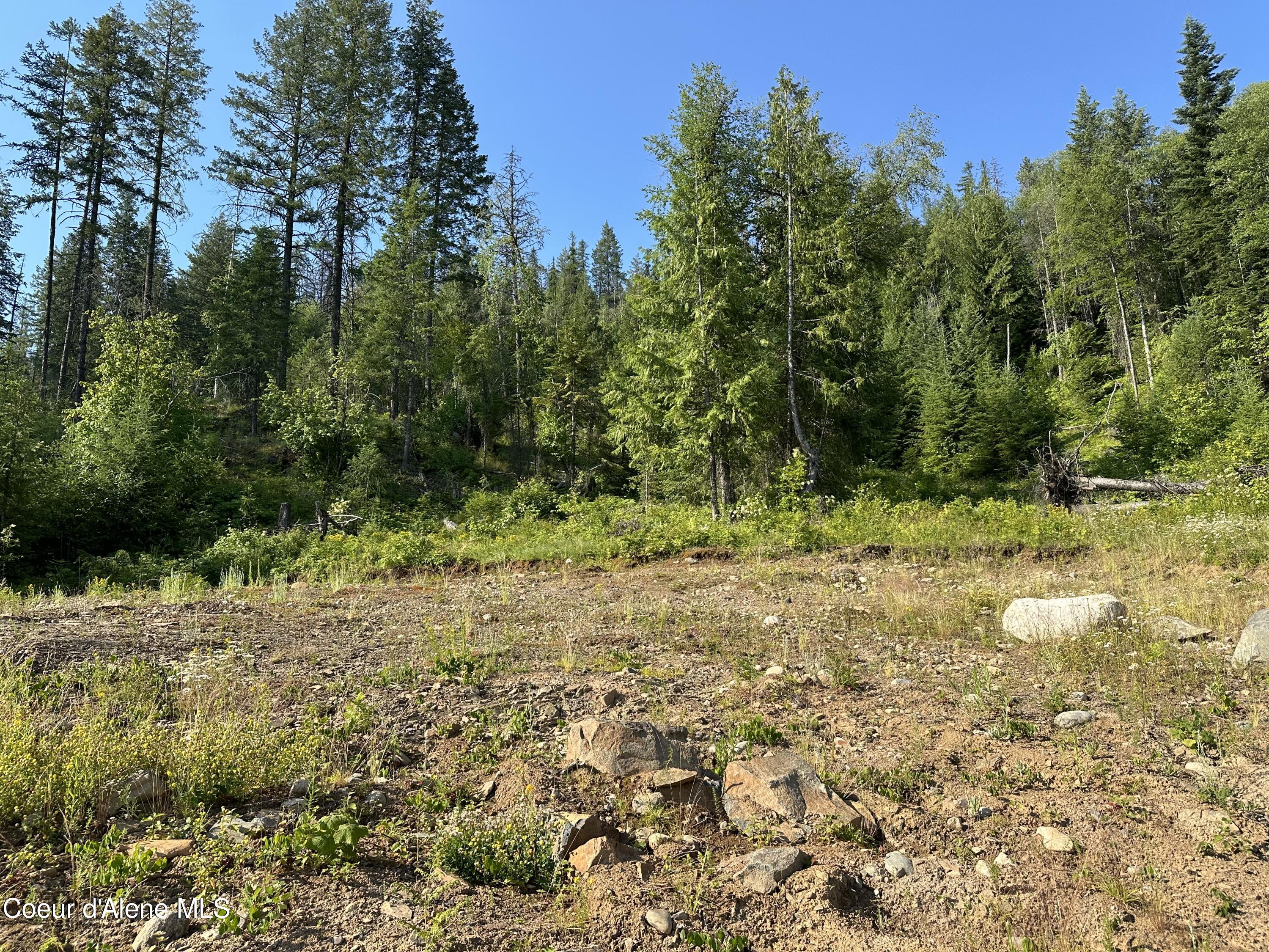 NKA Fish Creek, Cocolalla, Idaho image 3