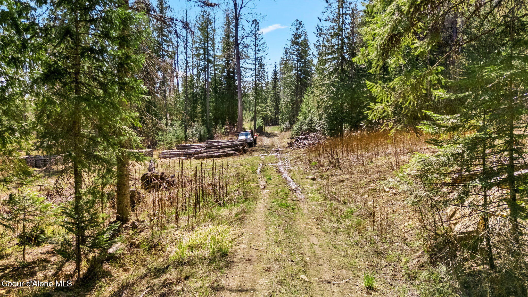 NKA Scott (lot 25) Ln, Sandpoint, Idaho image 20