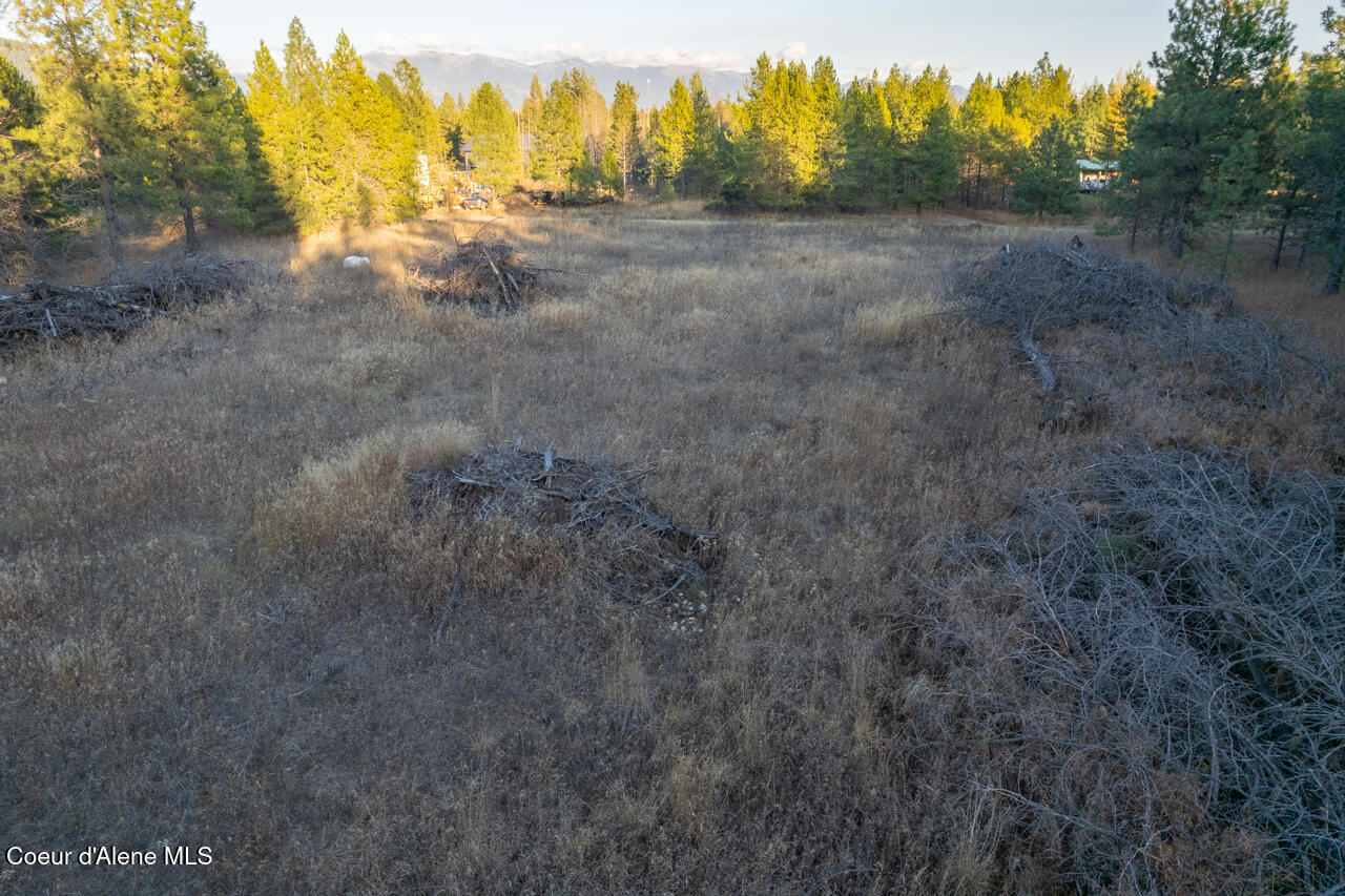 46 Hardy Lp, Bonners Ferry, Texas image 8