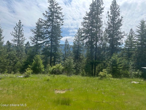 Vacant Land For Sale - NKA Raven Ridge Ridge<br/> Coeur d'Alene, ID 83814