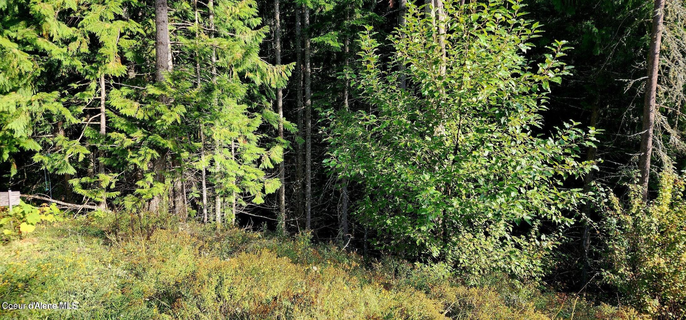 0 Alder 1