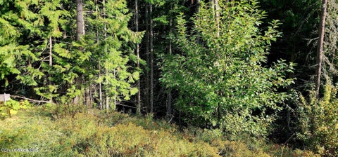 Vacant Land For Sale - Alder Way Way<br/> St. Maries, ID 83861