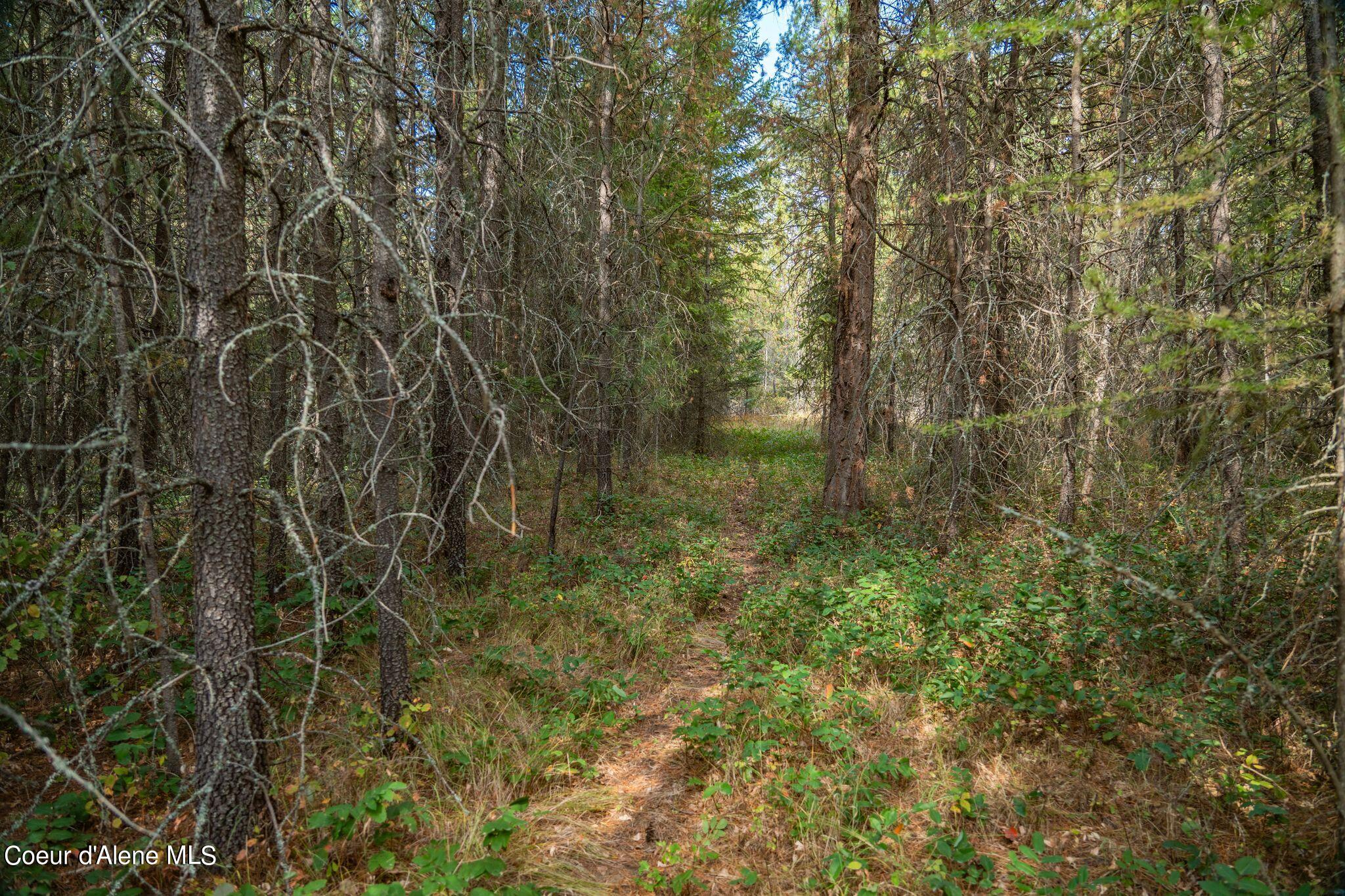 Lot 26 E Graham Ave, Priest River, Texas image 10