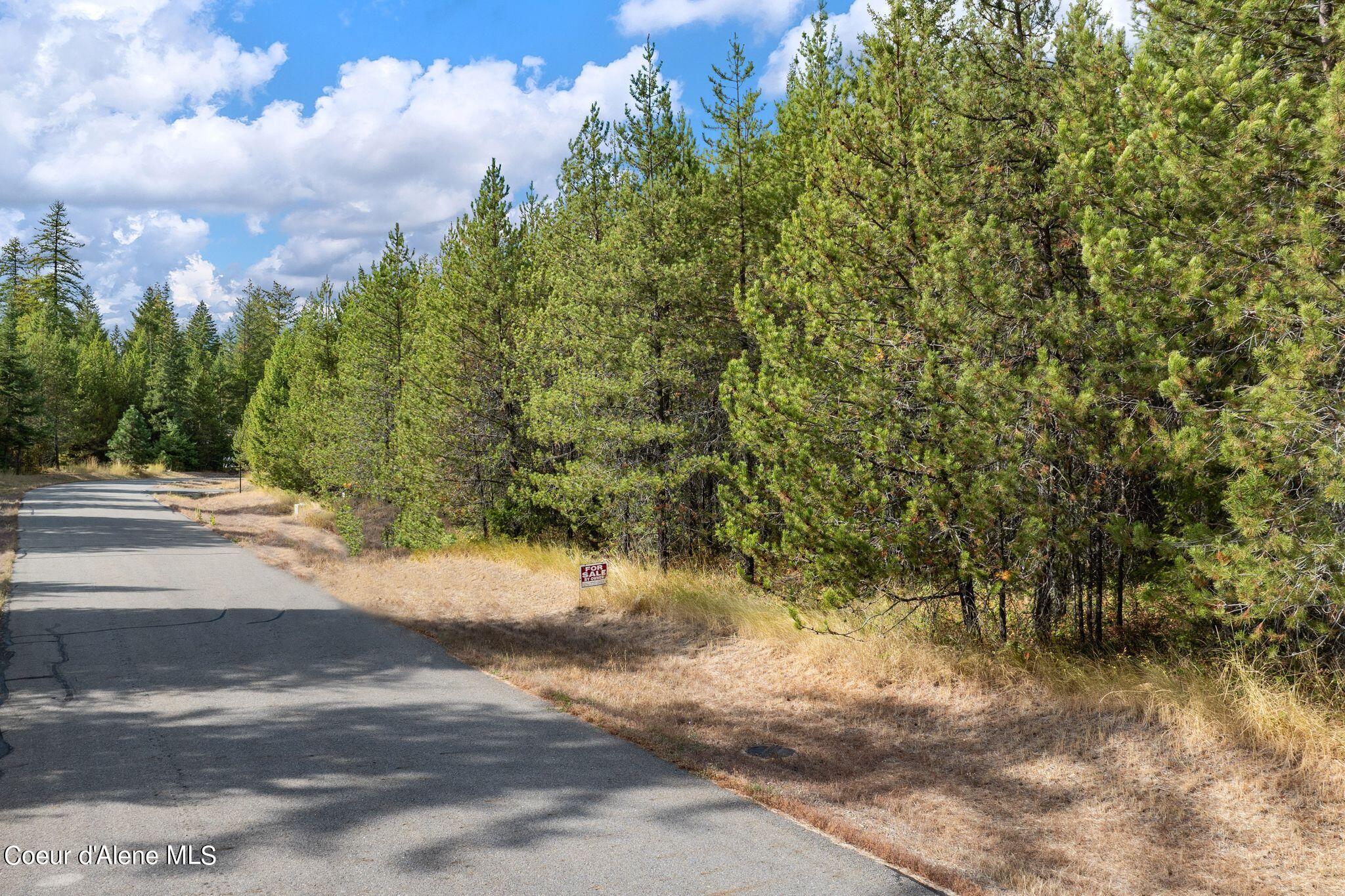 Lot 26 E Graham Ave, Priest River, Texas image 9