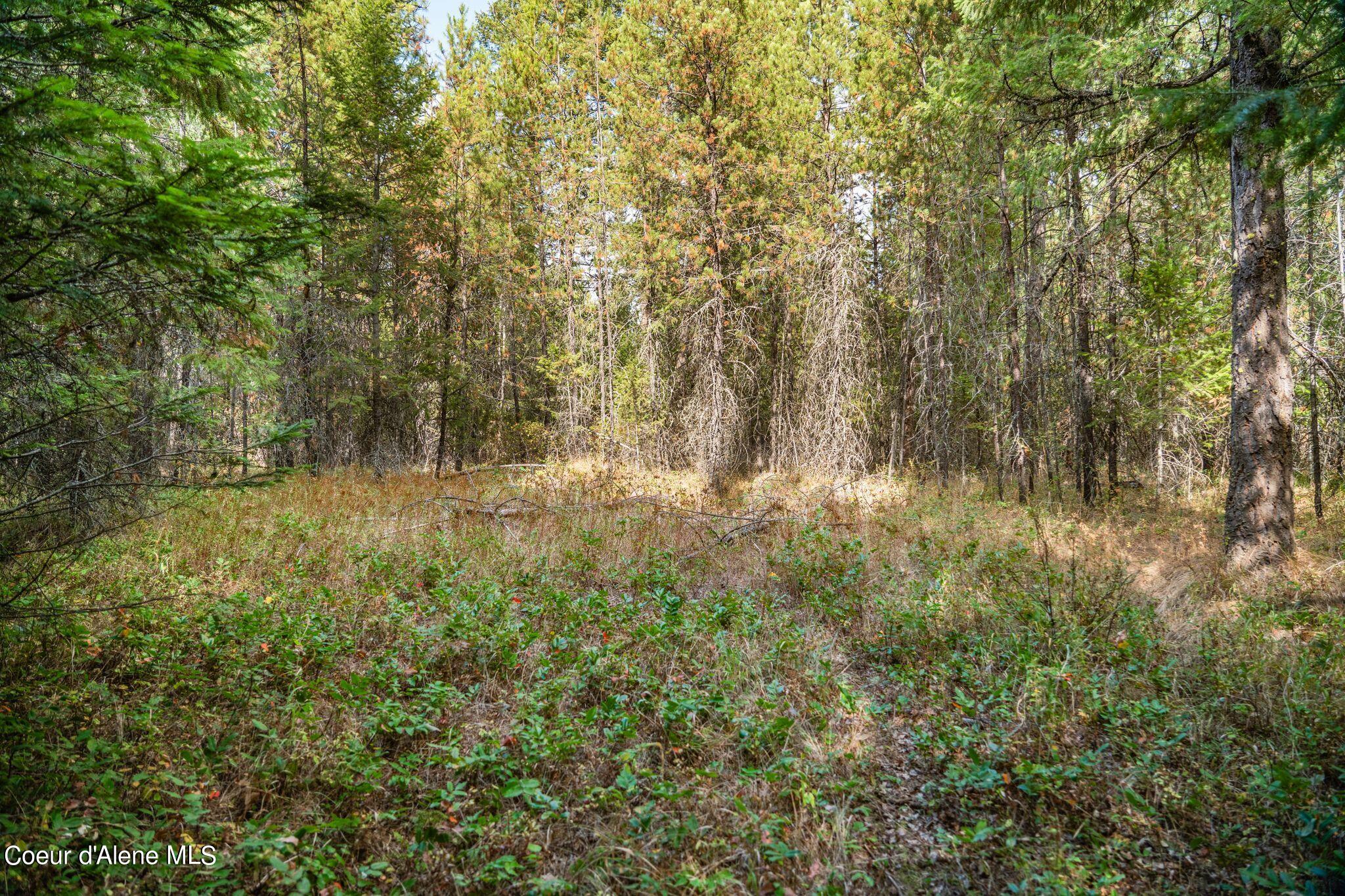 Lot 26 E Graham Ave, Priest River, Texas image 12
