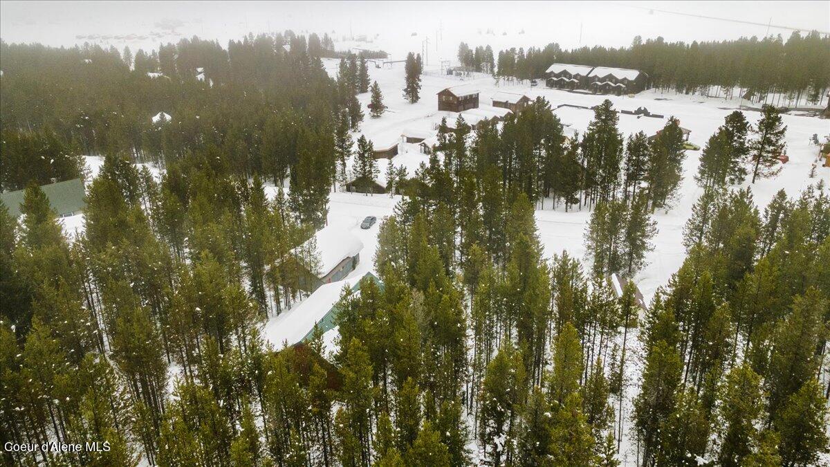 4128 Sawtelle Peak Rd, Island Park, Idaho image 44
