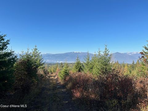 Vacant Land For Sale - TRACT G Usfs 2222a<br/> Bonners Ferry, ID 83805