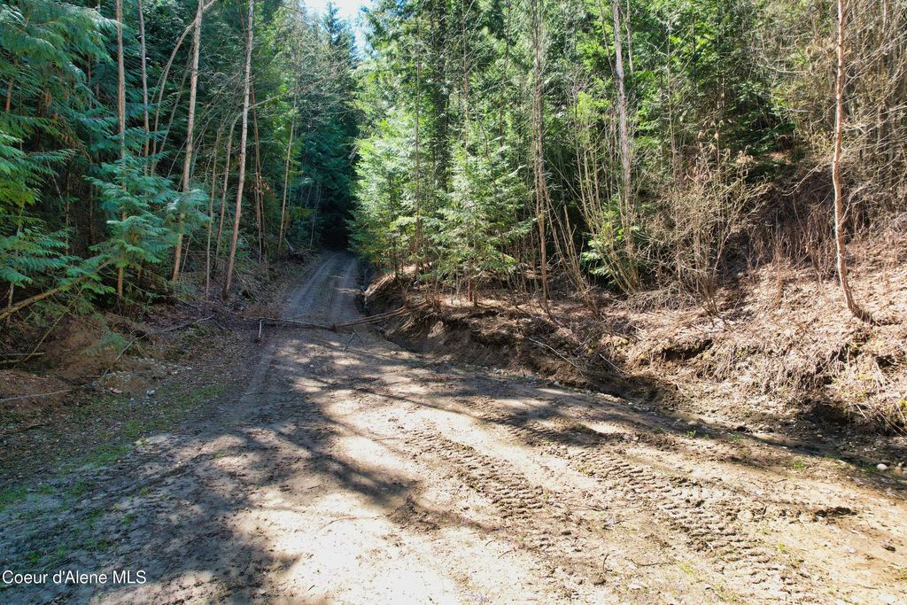 Photo of NNA Juniper, Naples, ID 83805 (MLS # 26-3806)