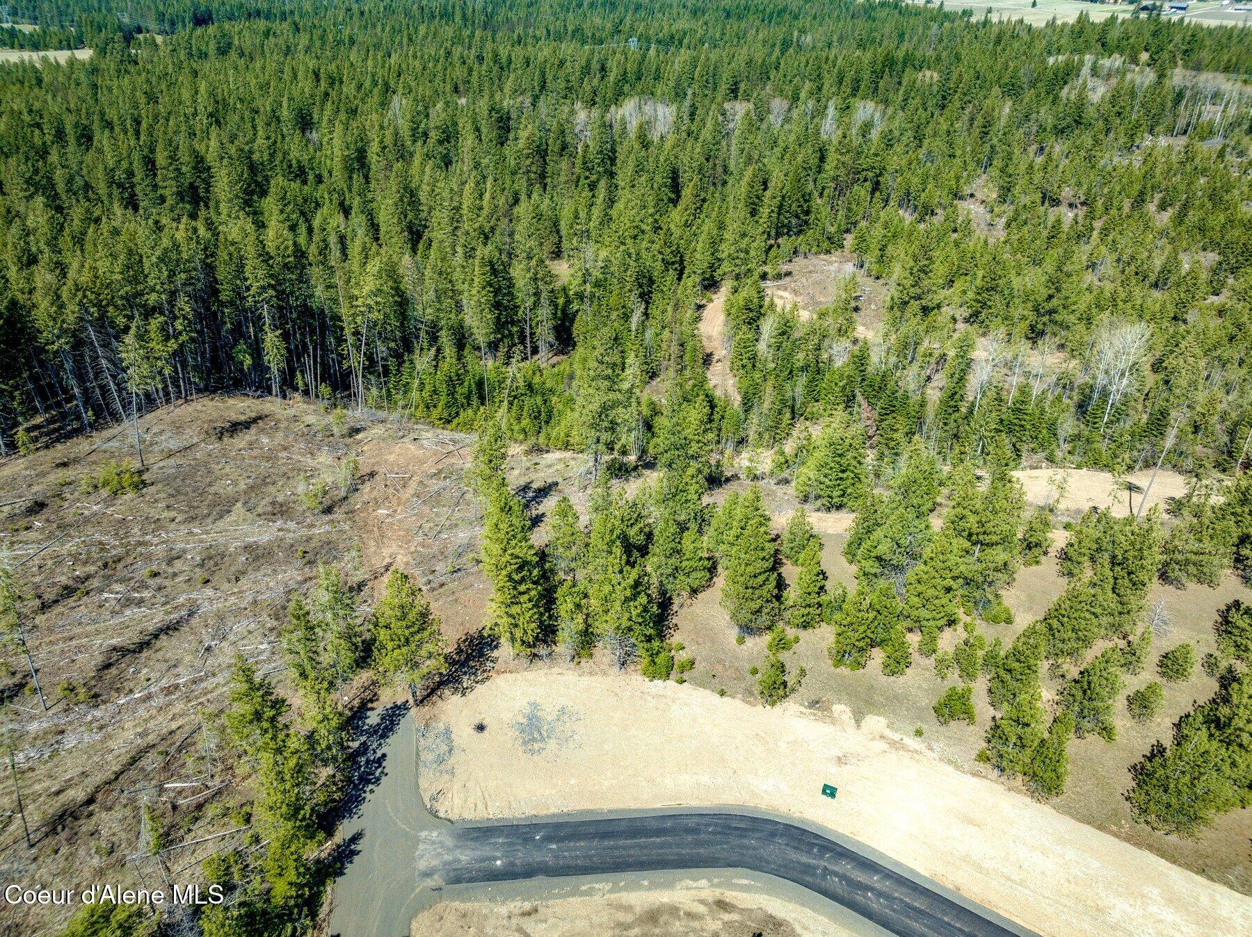 NKA Dickens Rd (lot 10) Street, Athol, Alaska image 37