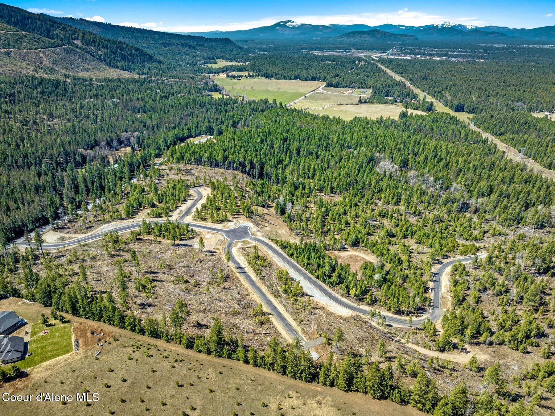 NKA Dickens Rd (lot 10) Street, Athol, Alaska image 21