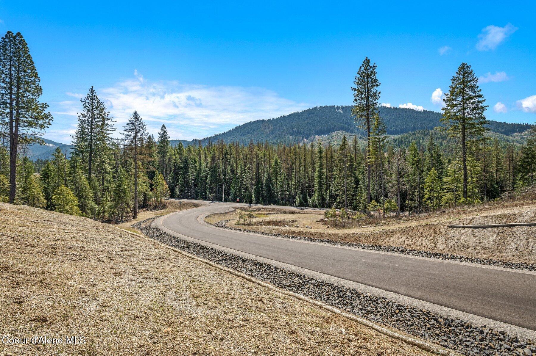 NKA Dickens Rd (lot 10) Street, Athol, Alaska image 8