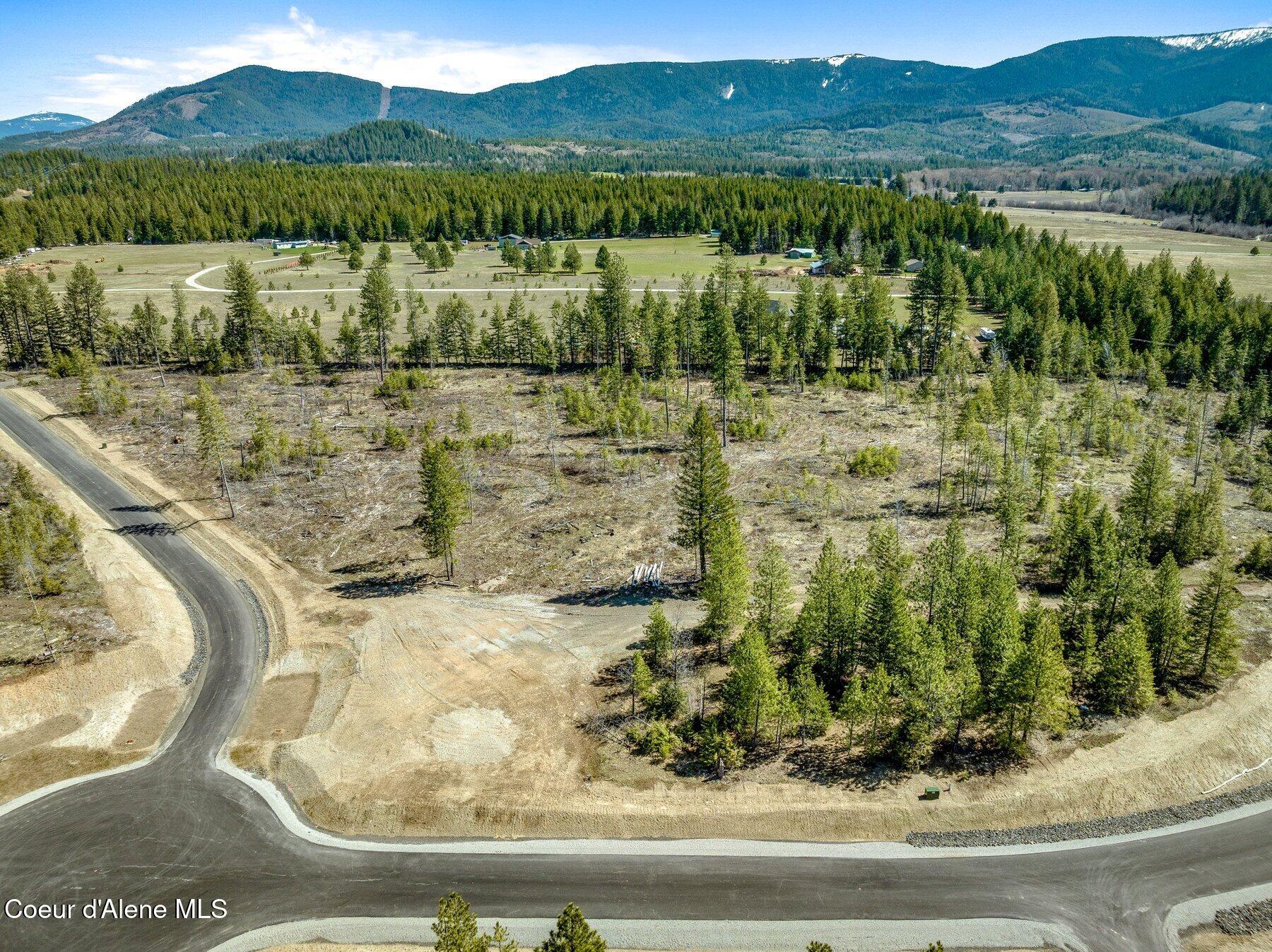 NKA Dickens Rd (lot 10) Street, Athol, Alaska image 39