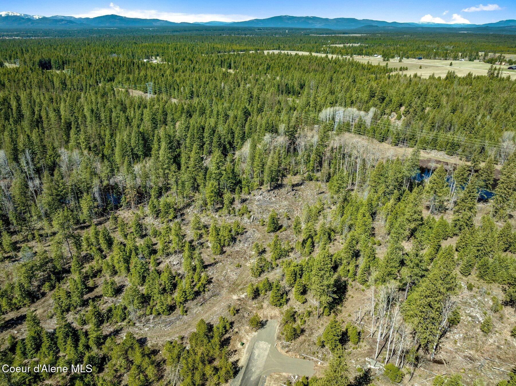 NKA Dickens Rd (lot 10) Street, Athol, Alaska image 45
