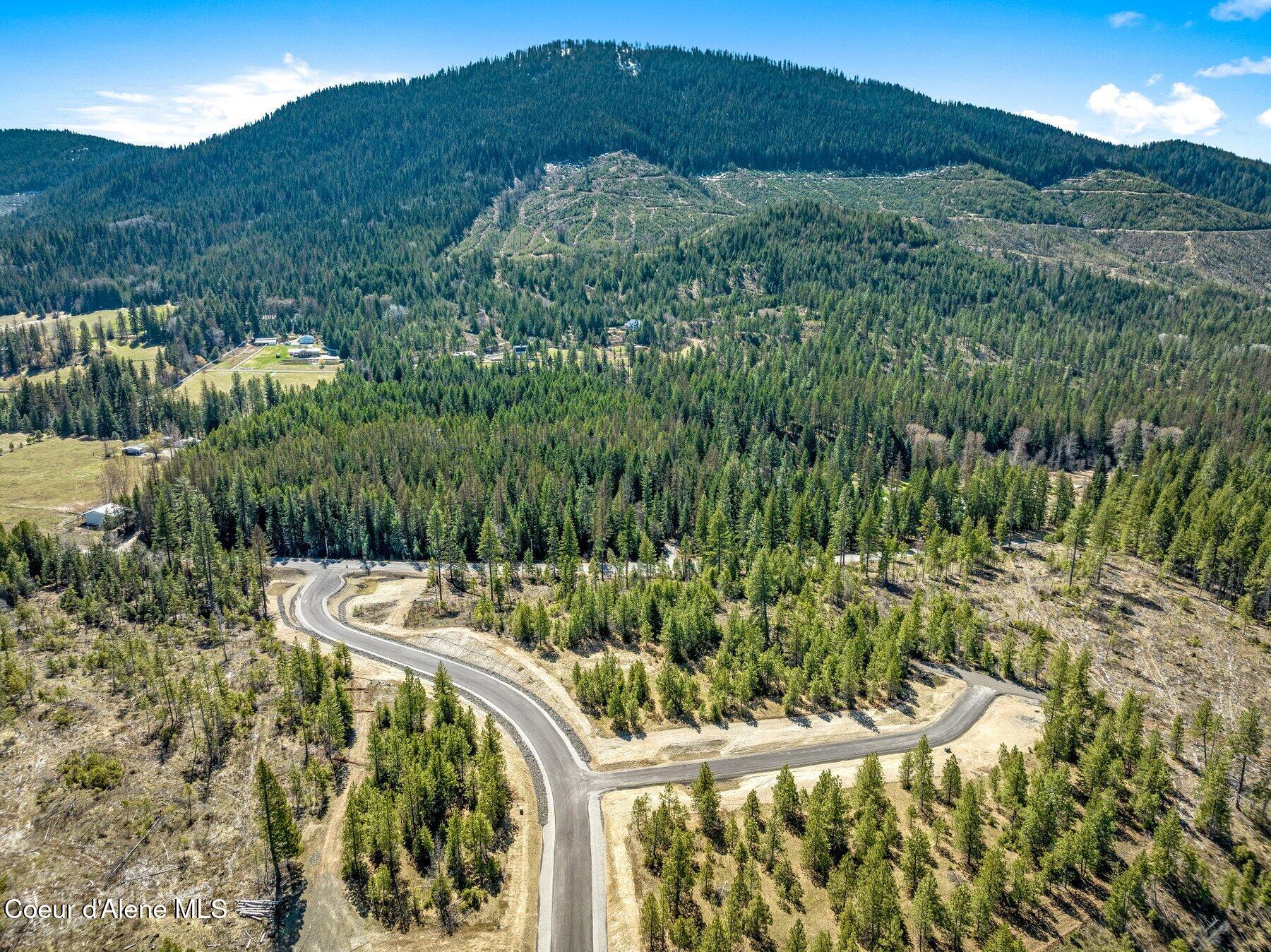 NKA Dickens Rd (lot 10) Street, Athol, Alaska image 15