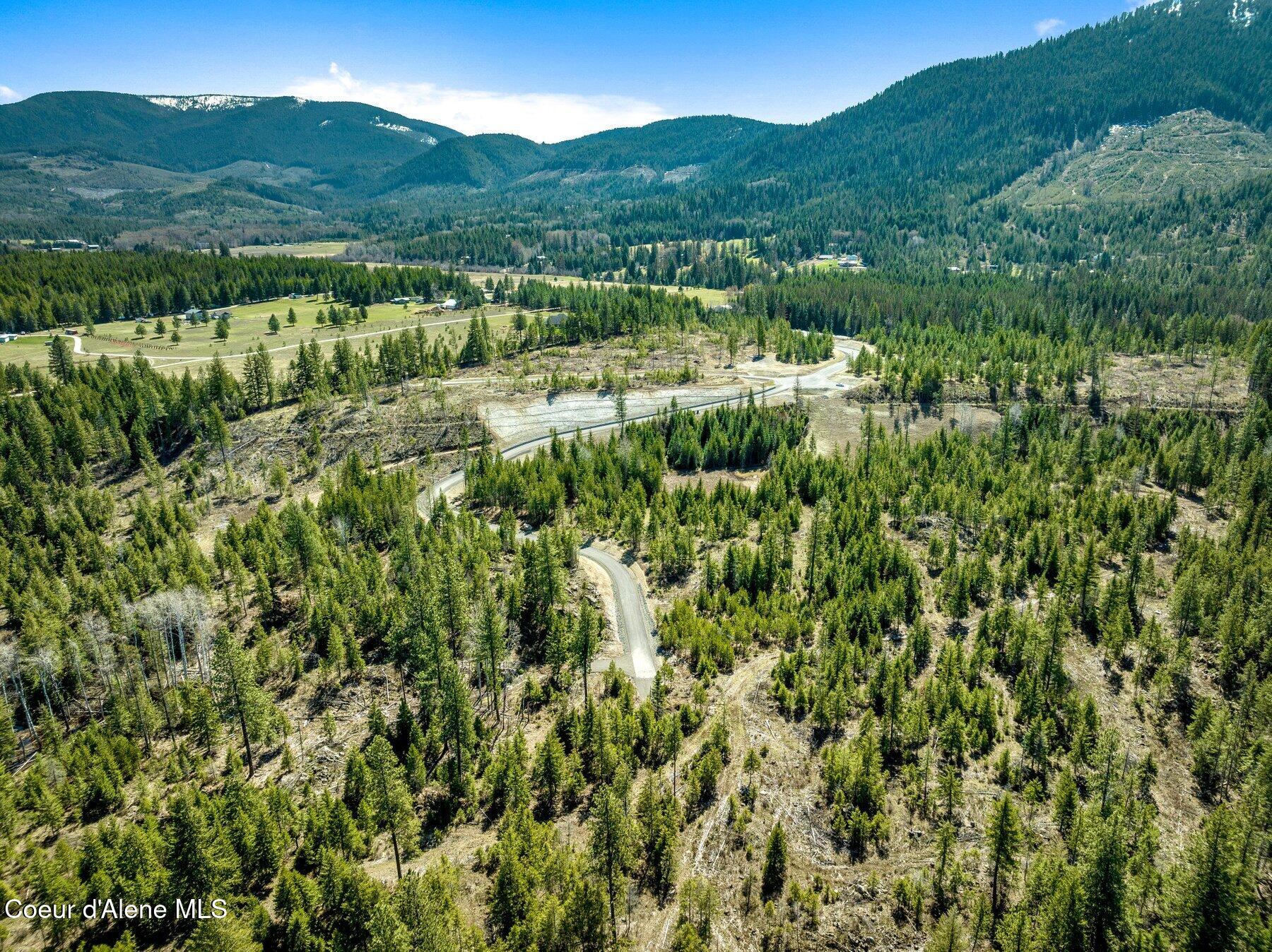 NKA Dickens Rd (lot 10) Street, Athol, Alaska image 26
