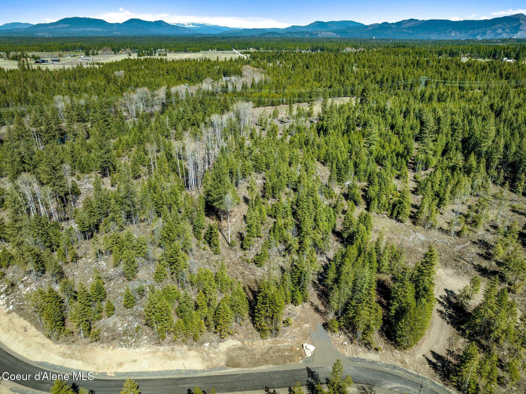 NKA Dickens Rd (lot 10) Street, Athol, Alaska image 43