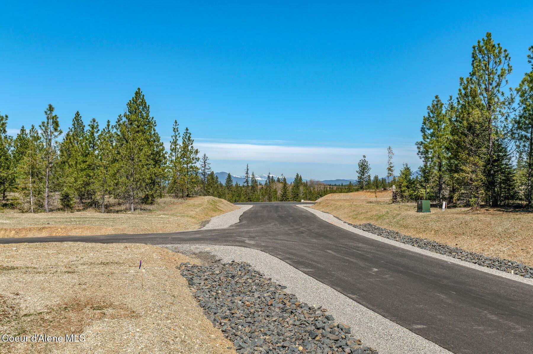 NKA Dickens Rd (lot 10) Street, Athol, Alaska image 10