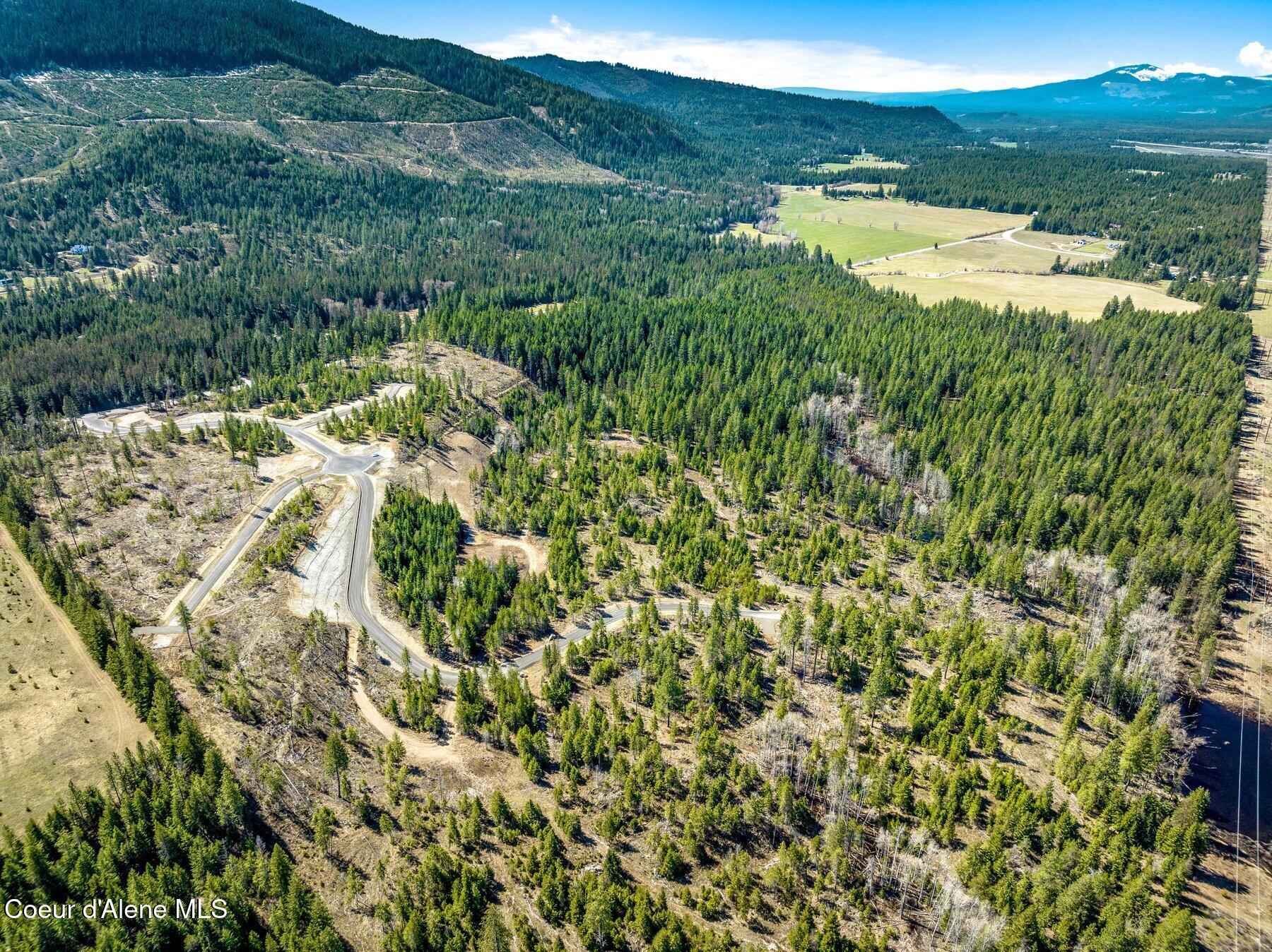 NKA Dickens Rd (lot 10) Street, Athol, Alaska image 23