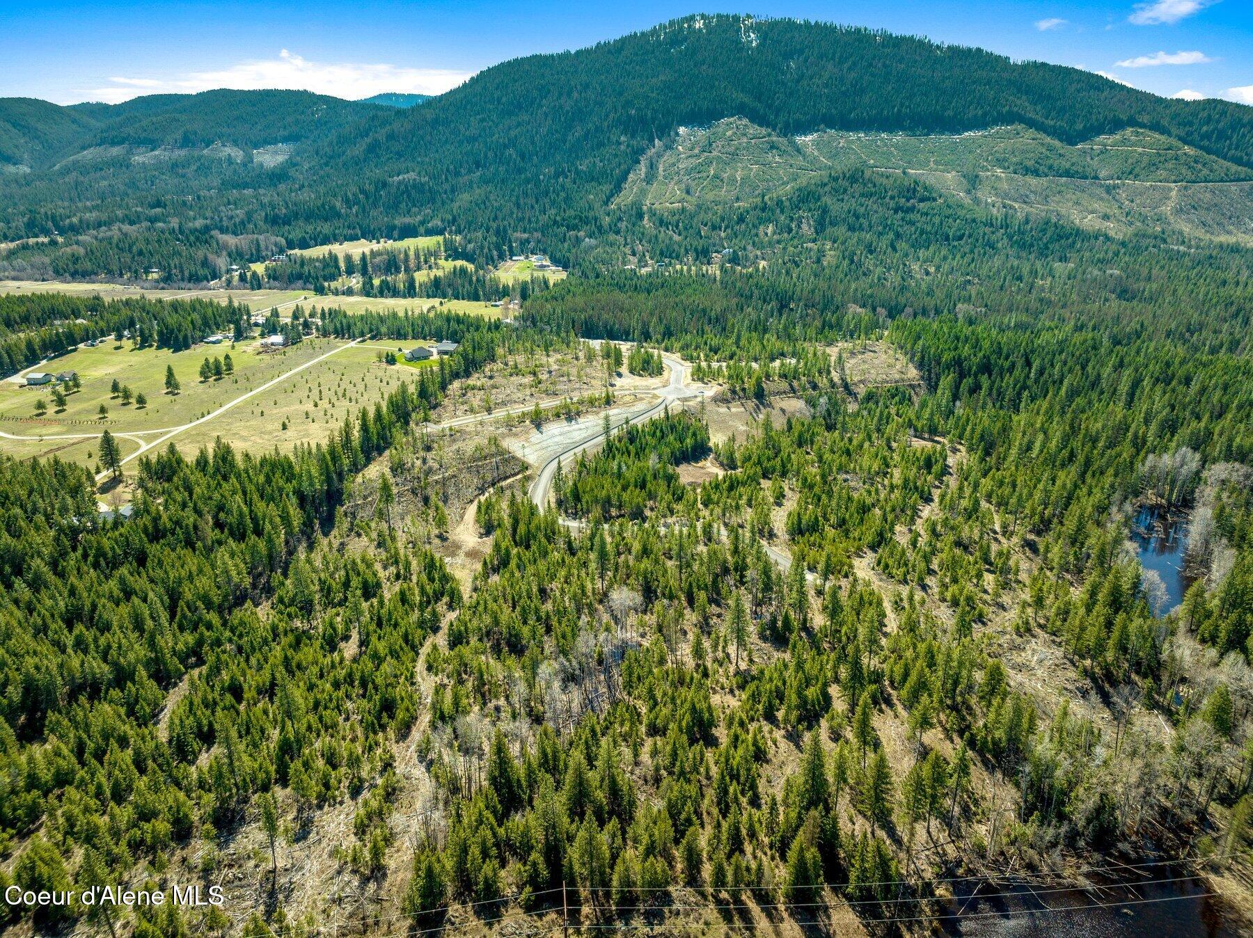 NKA Dickens Rd (lot 10) Street, Athol, Alaska image 24