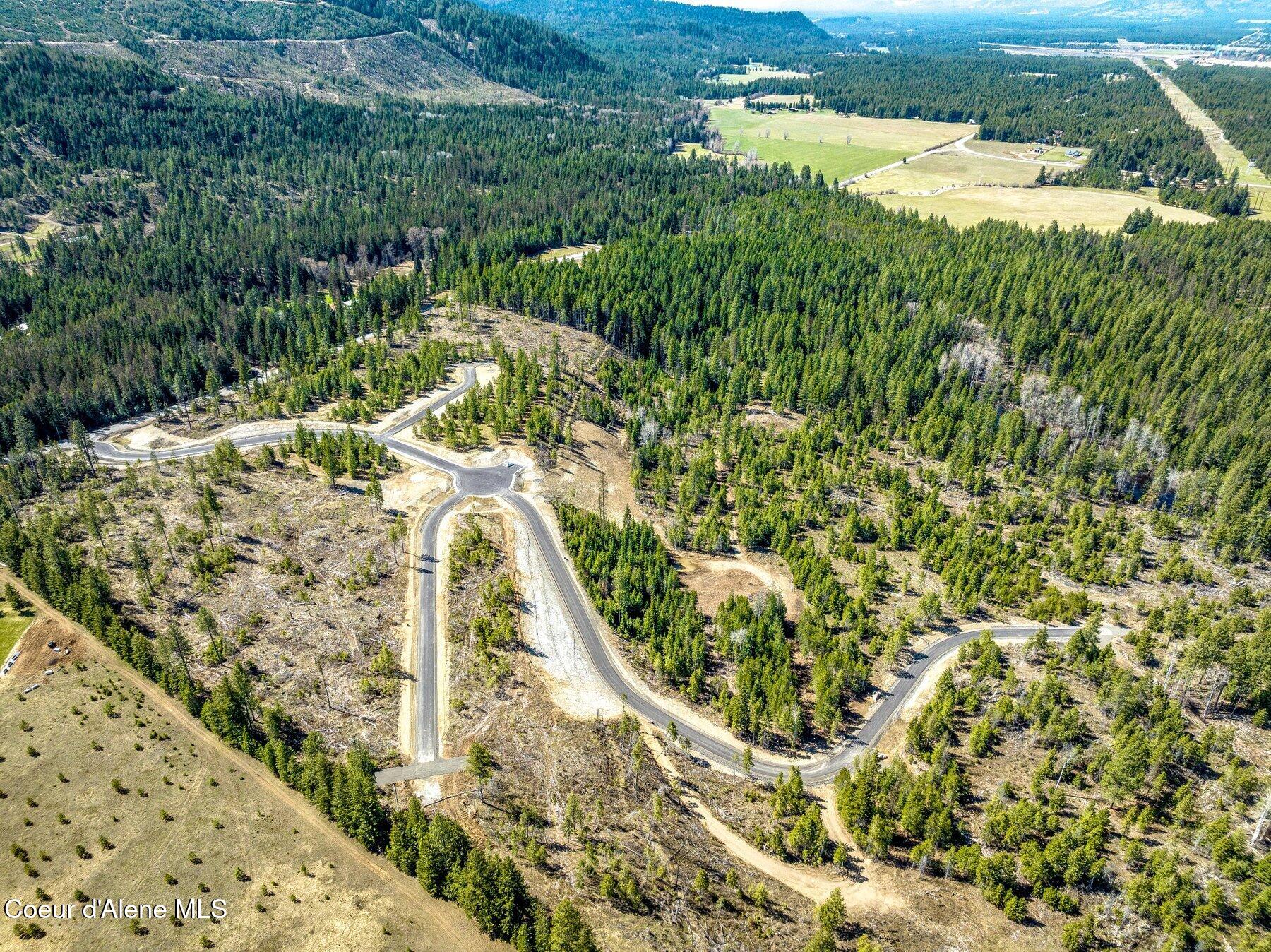NKA Dickens Rd (lot 10) Street, Athol, Alaska image 22