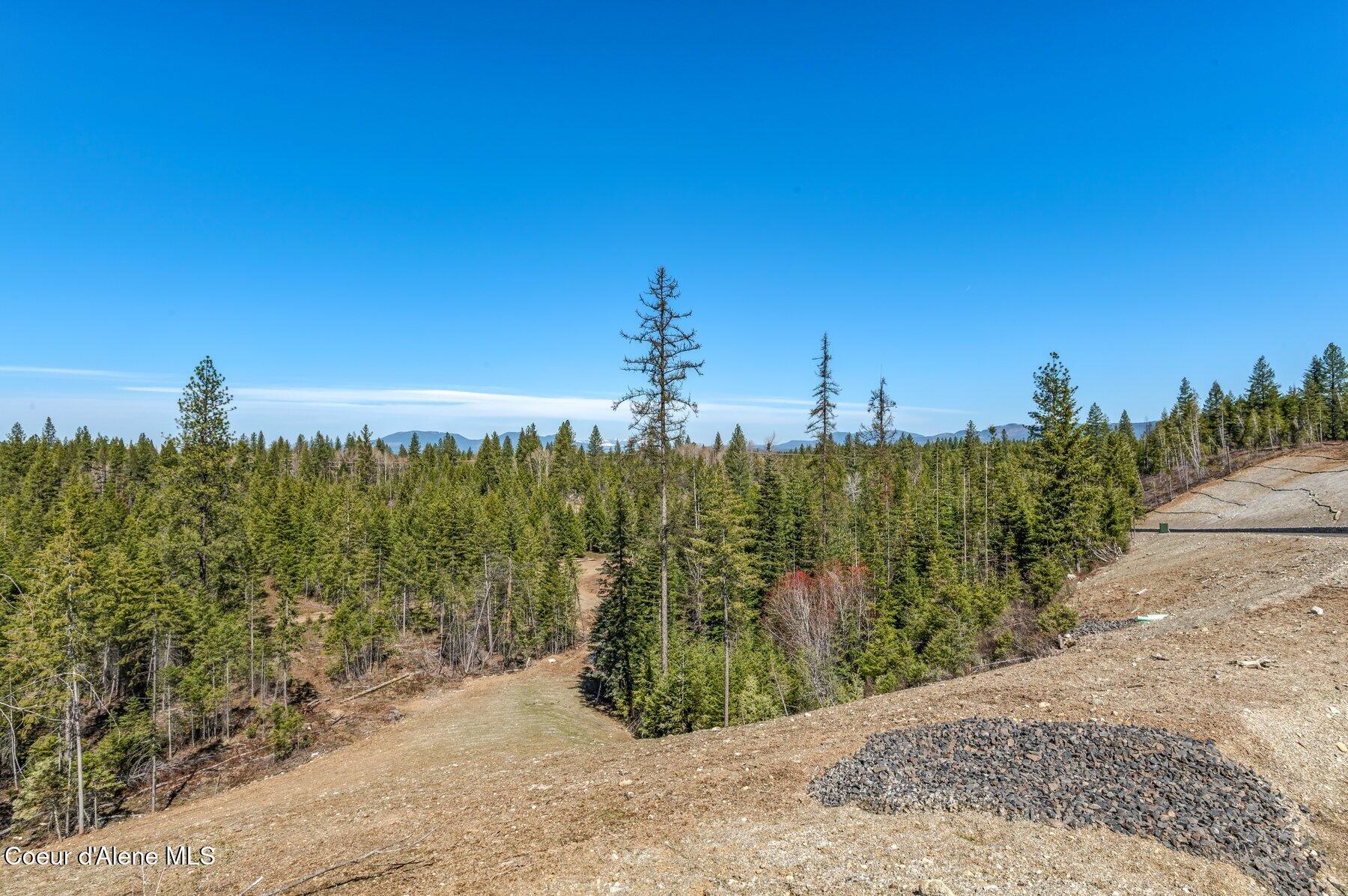 NKA Dickens Rd (lot 10) Street, Athol, Alaska image 2