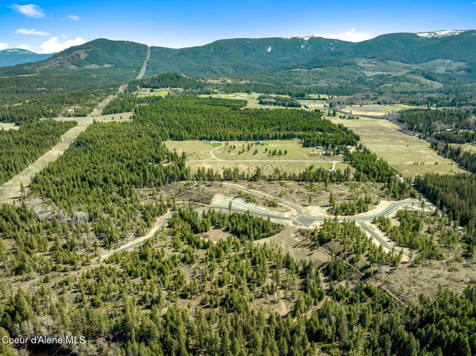 NKA Dickens Rd (lot 10) Street, Athol, Alaska image 29