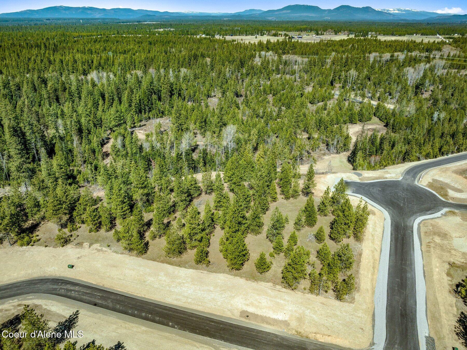 NKA Dickens Rd (lot 10) Street, Athol, Alaska image 38