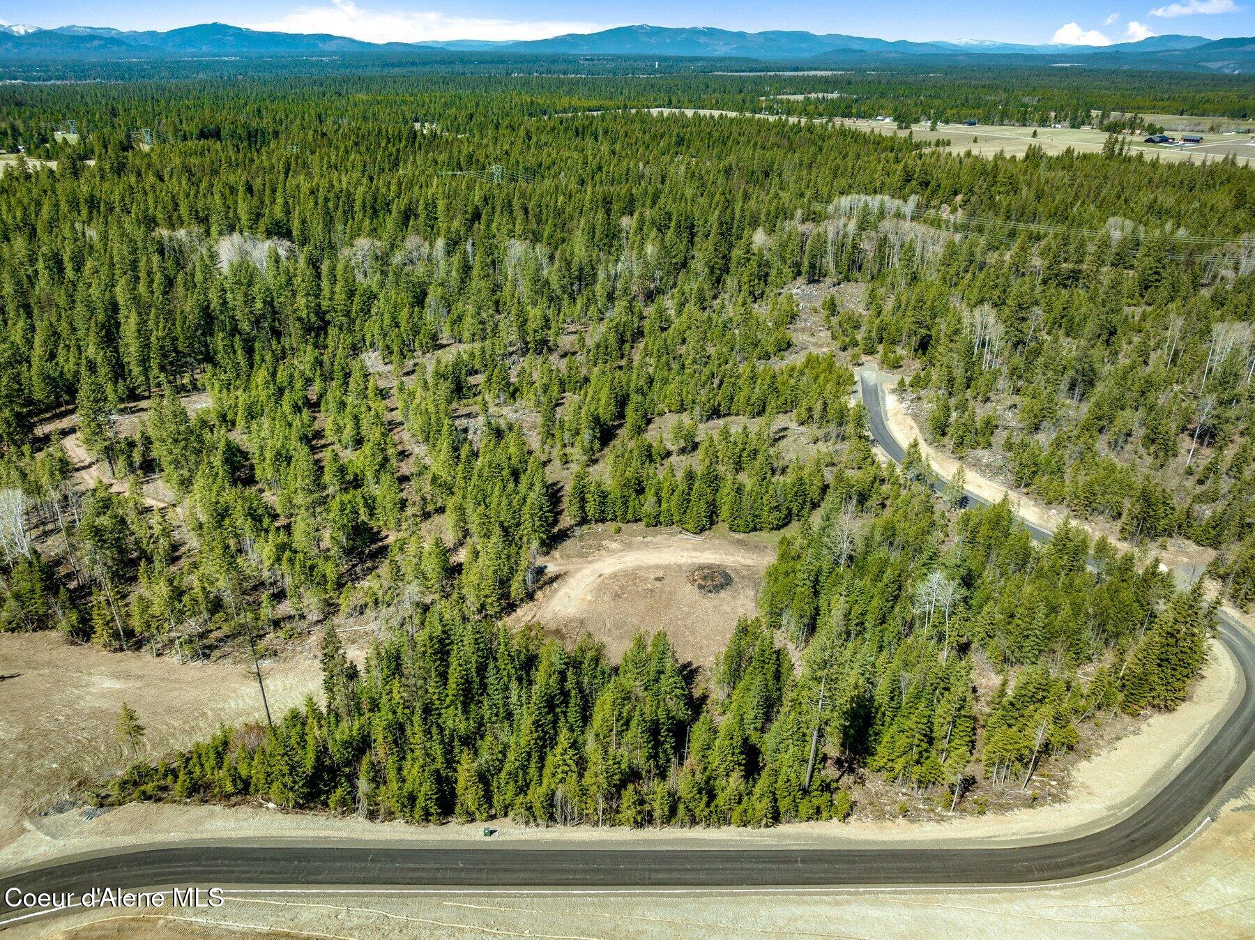 NKA Dickens Rd (lot 10) Street, Athol, Alaska image 41