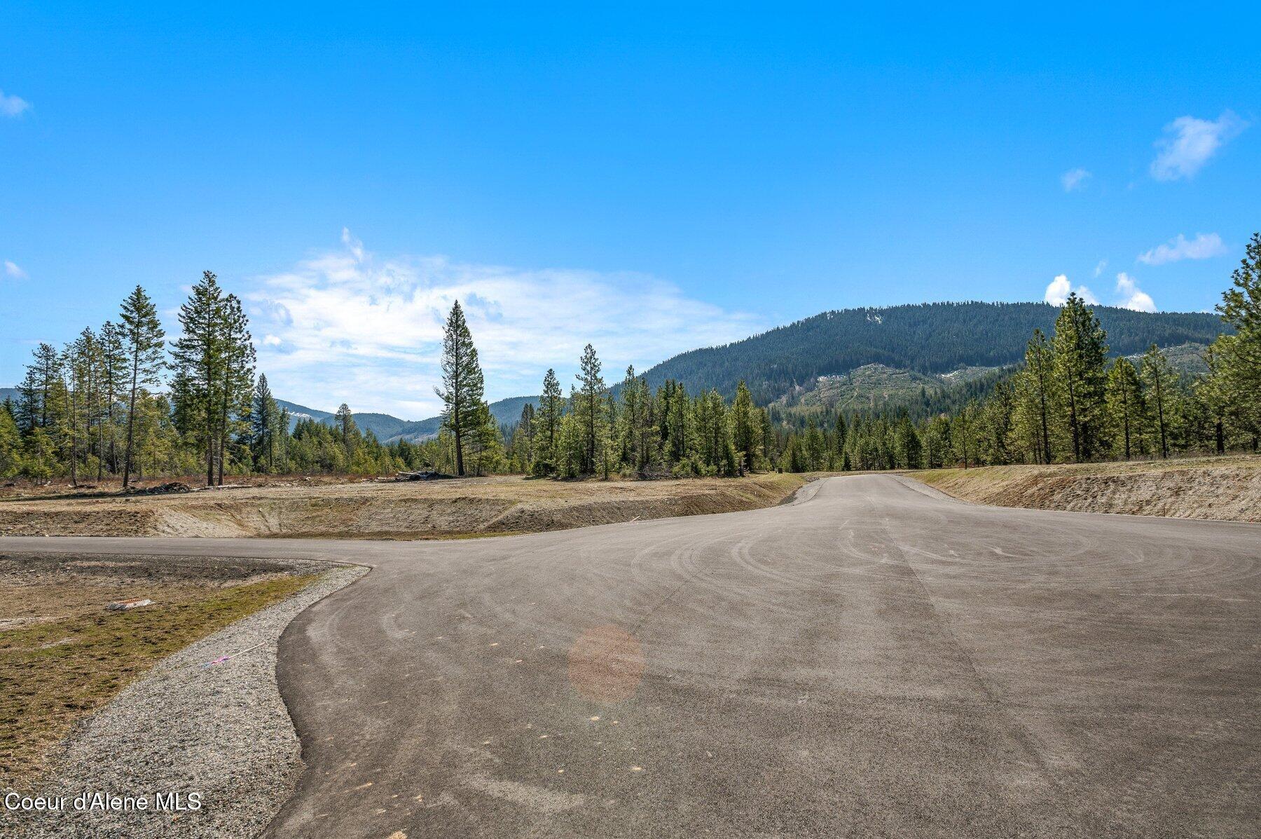NKA Dickens Rd (lot 10) Street, Athol, Alaska image 4