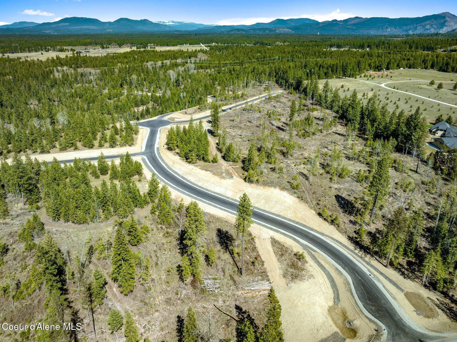 NKA Dickens Rd (lot 10) Street, Athol, Alaska image 32
