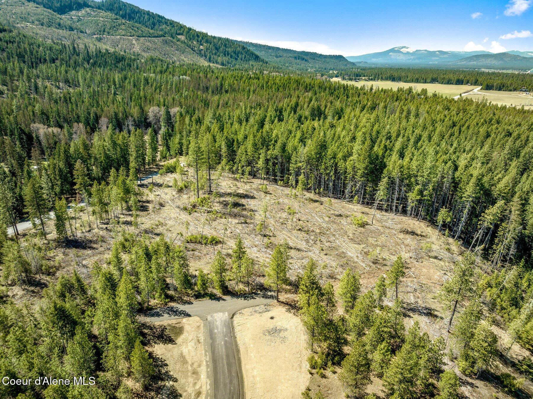 NKA Dickens Rd (lot 10) Street, Athol, Alaska image 36