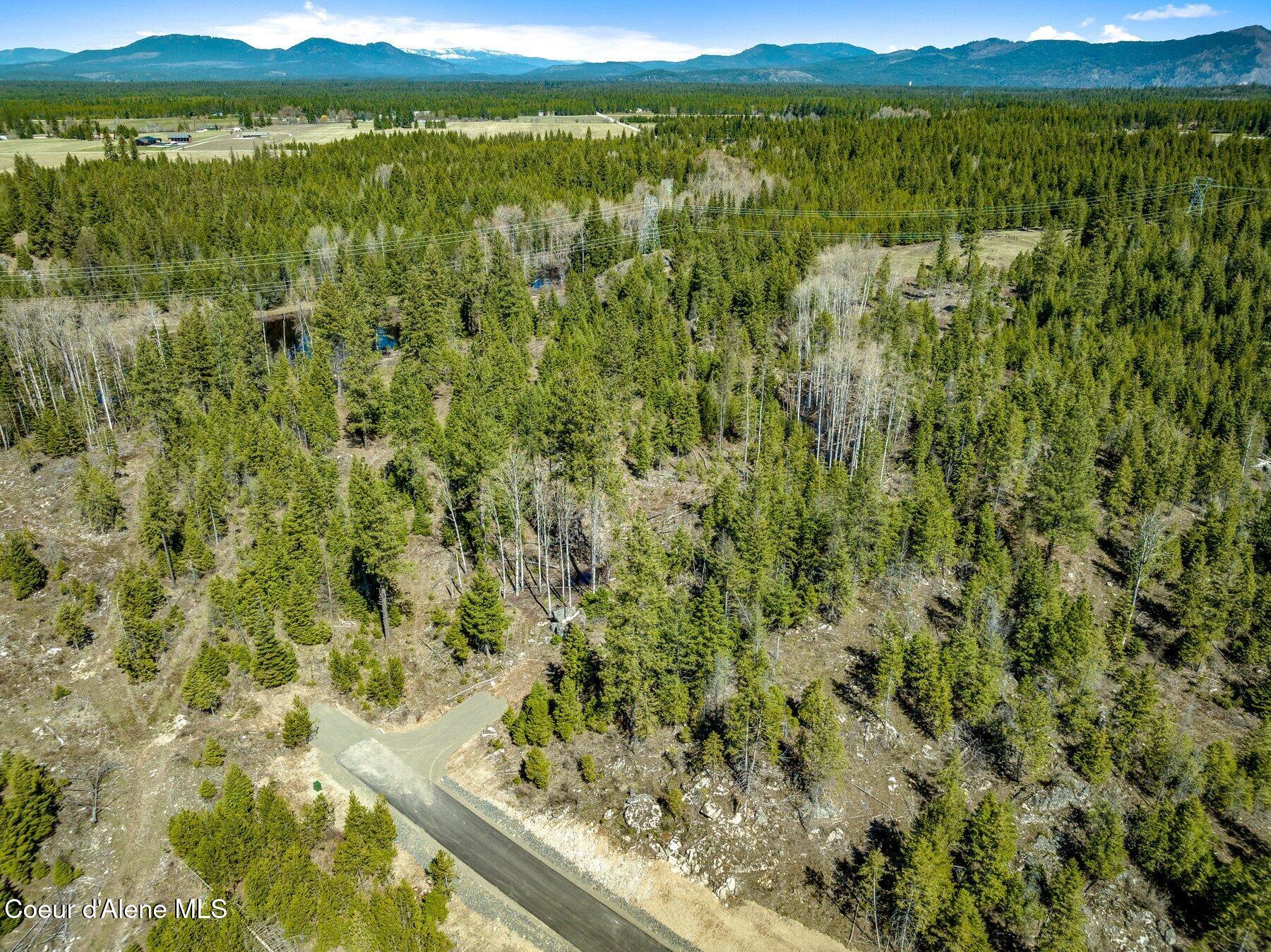 NKA Dickens Rd (lot 10) Street, Athol, Alaska image 44