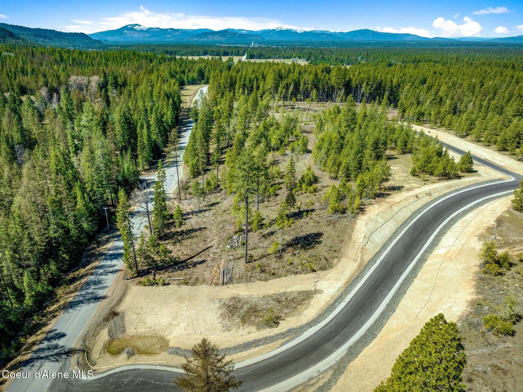 NKA Dickens Rd (lot 10) Street, Athol, Alaska image 34