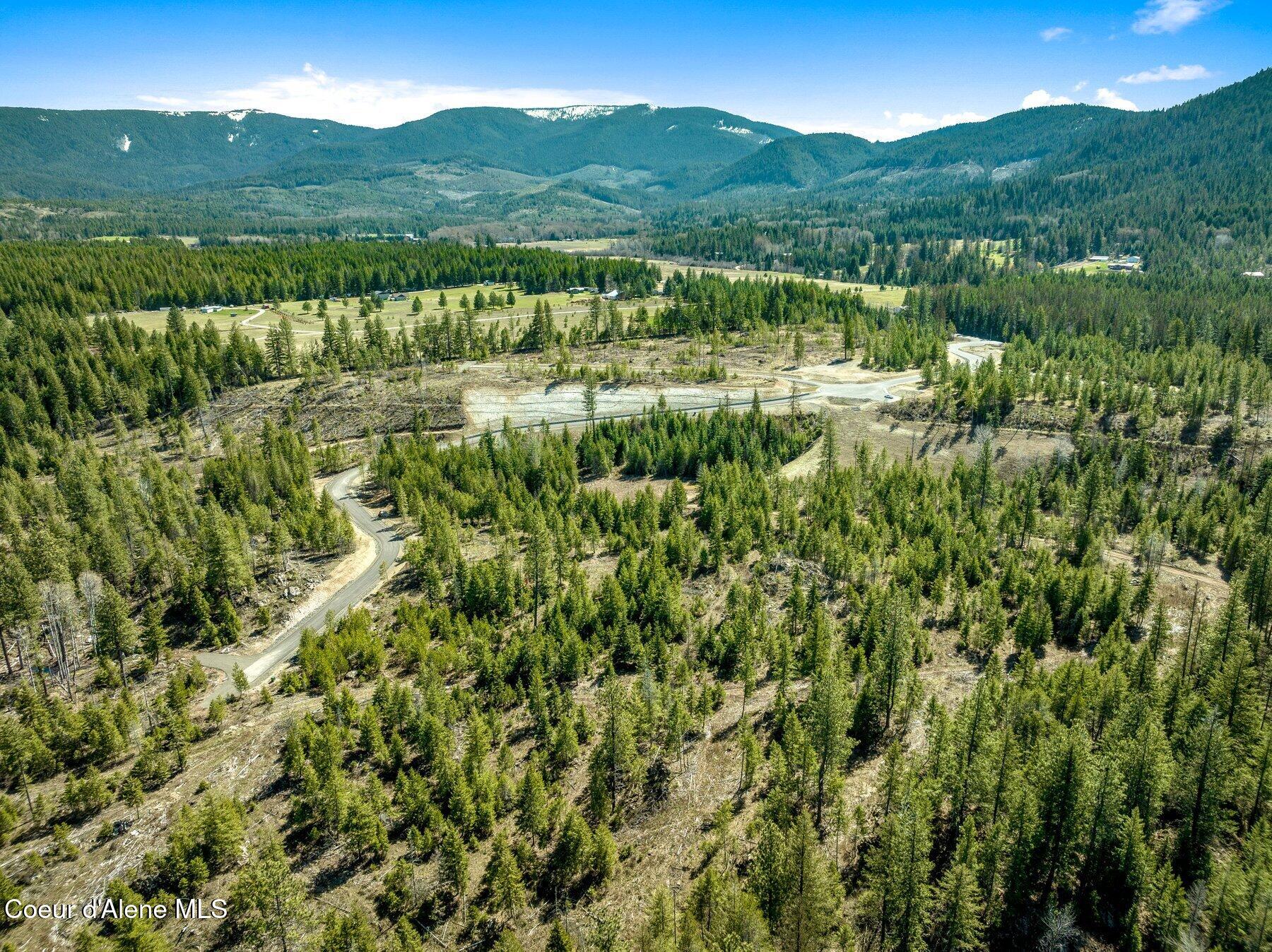 NKA Dickens Rd (lot 10) Street, Athol, Alaska image 27