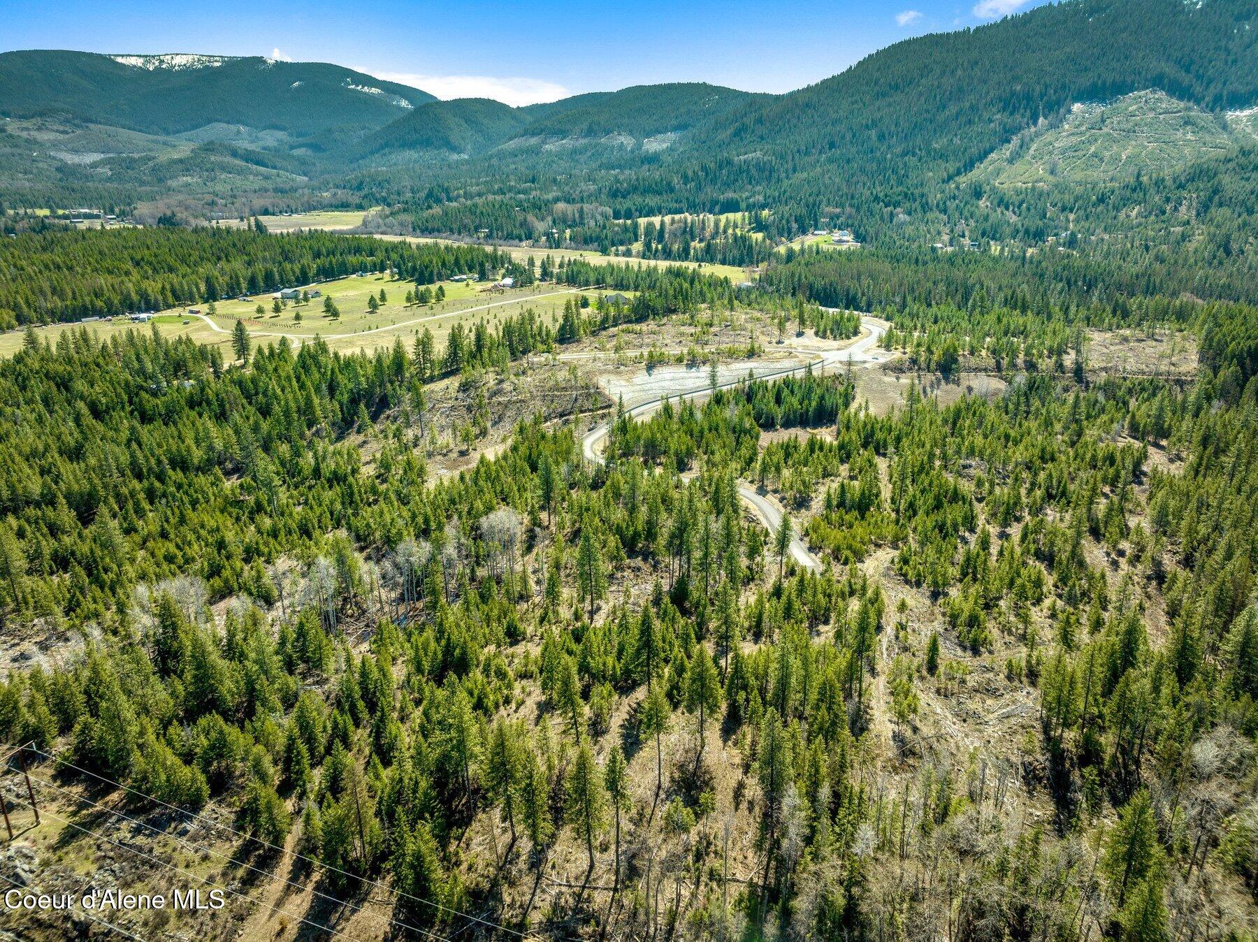 NKA Dickens Rd (lot 10) Street, Athol, Alaska image 25