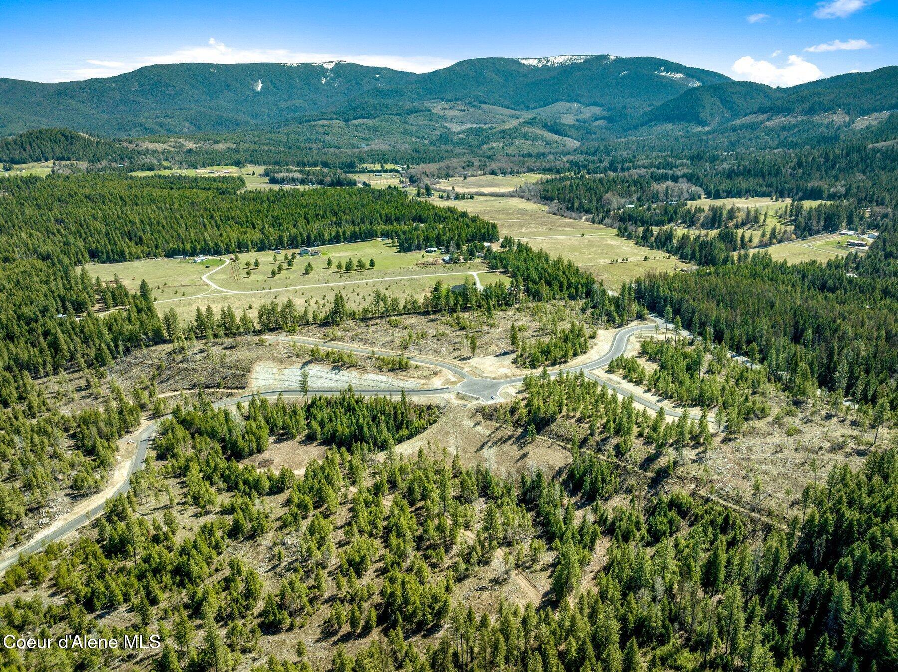 NKA Dickens Rd (lot 10) Street, Athol, Alaska image 28