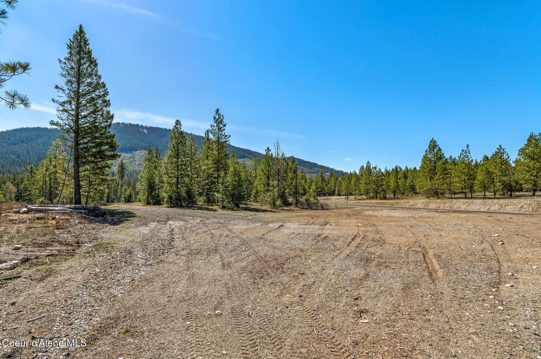 NKA Dickens Rd (lot 10) Street, Athol, Alaska image 6