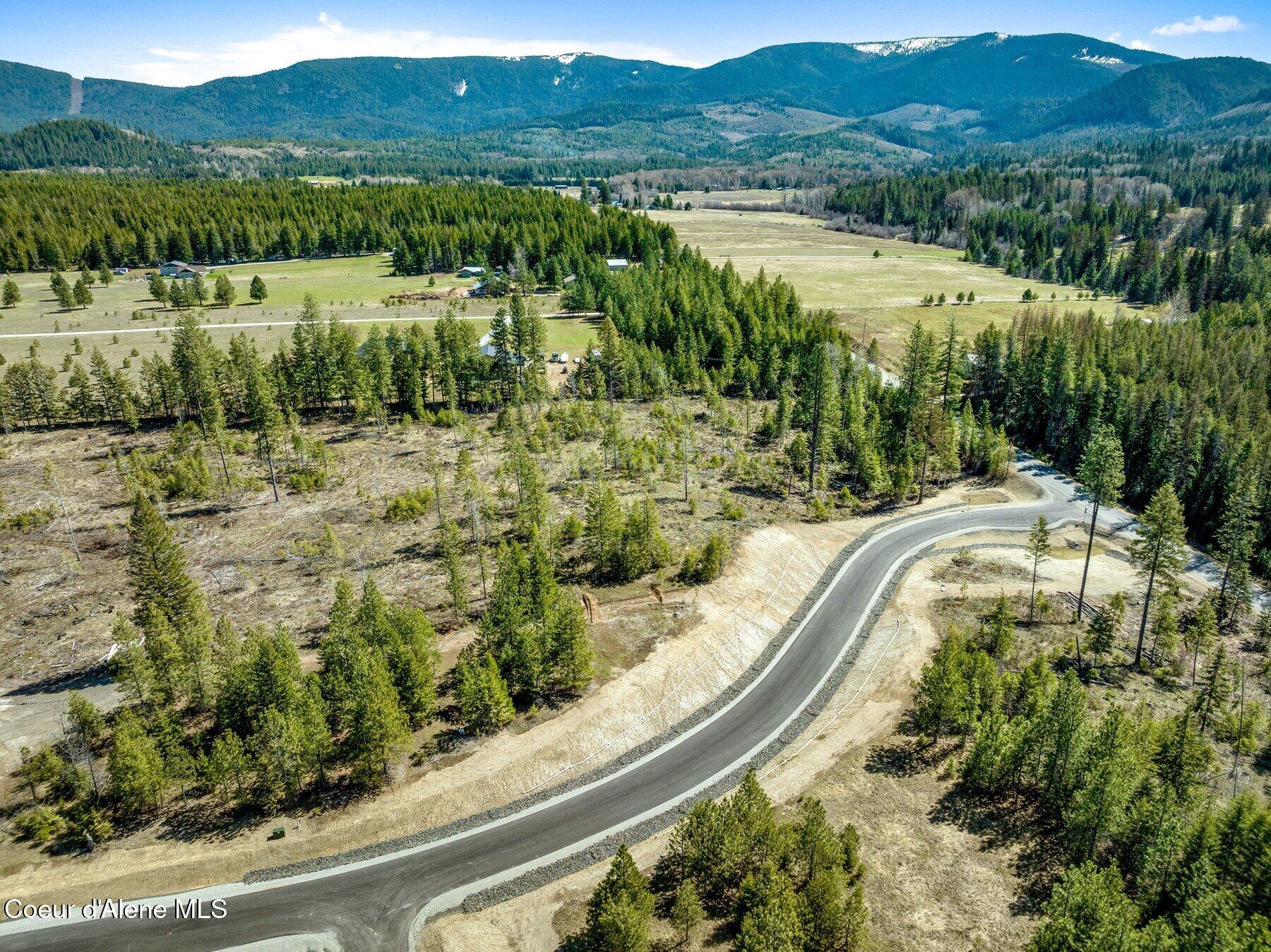 NKA Dickens Rd (lot 10) Street, Athol, Alaska image 35