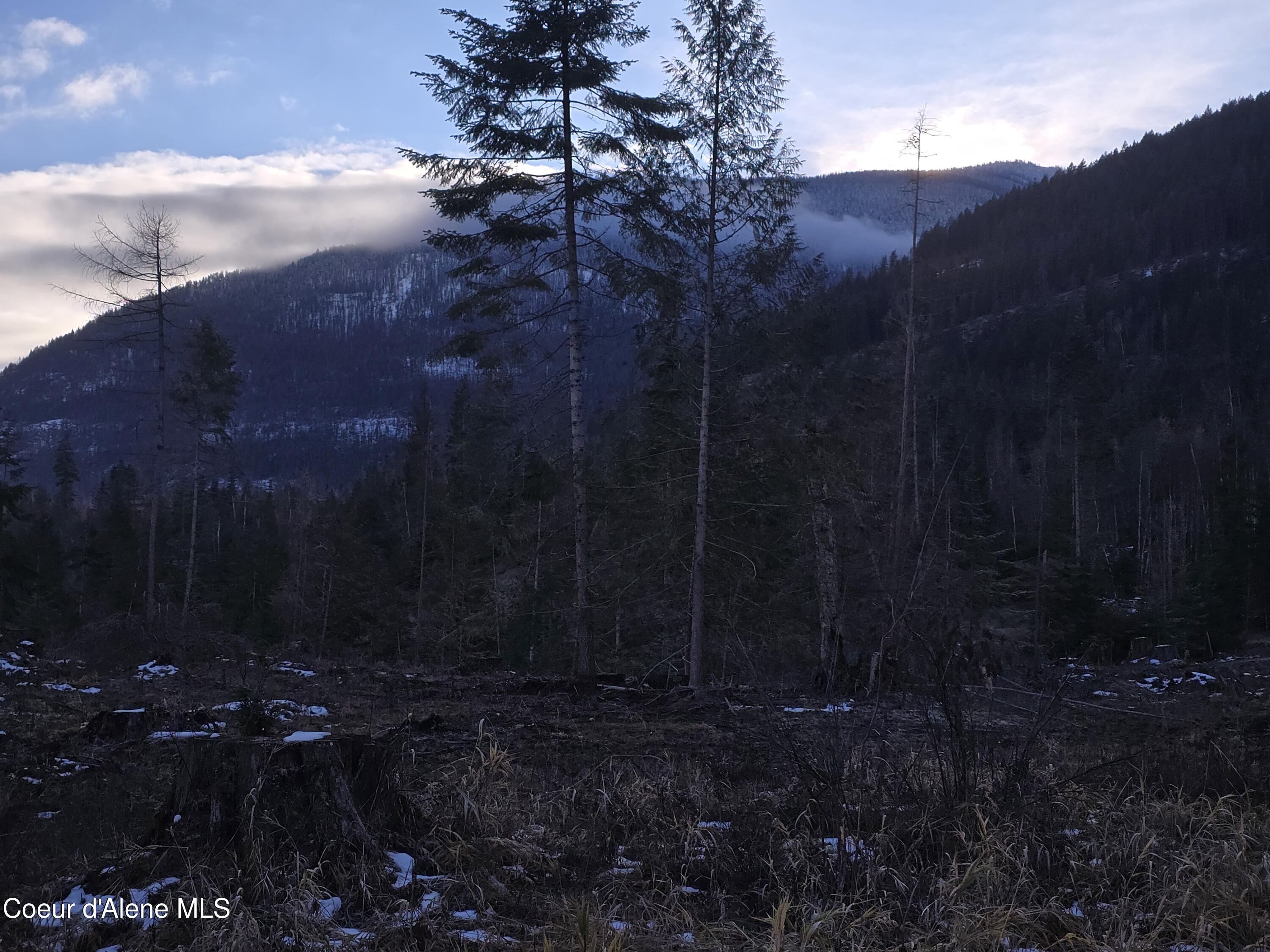 NNA West Side Road Parcel 4, Bonners Ferry, Idaho image 4