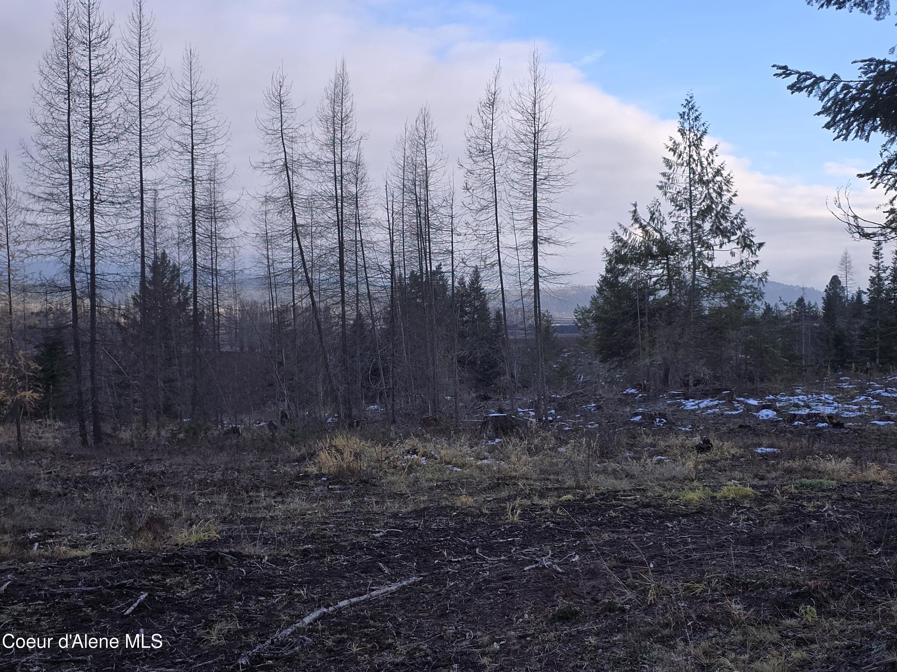 NNA West Side Road Parcel 4, Bonners Ferry, Idaho image 3