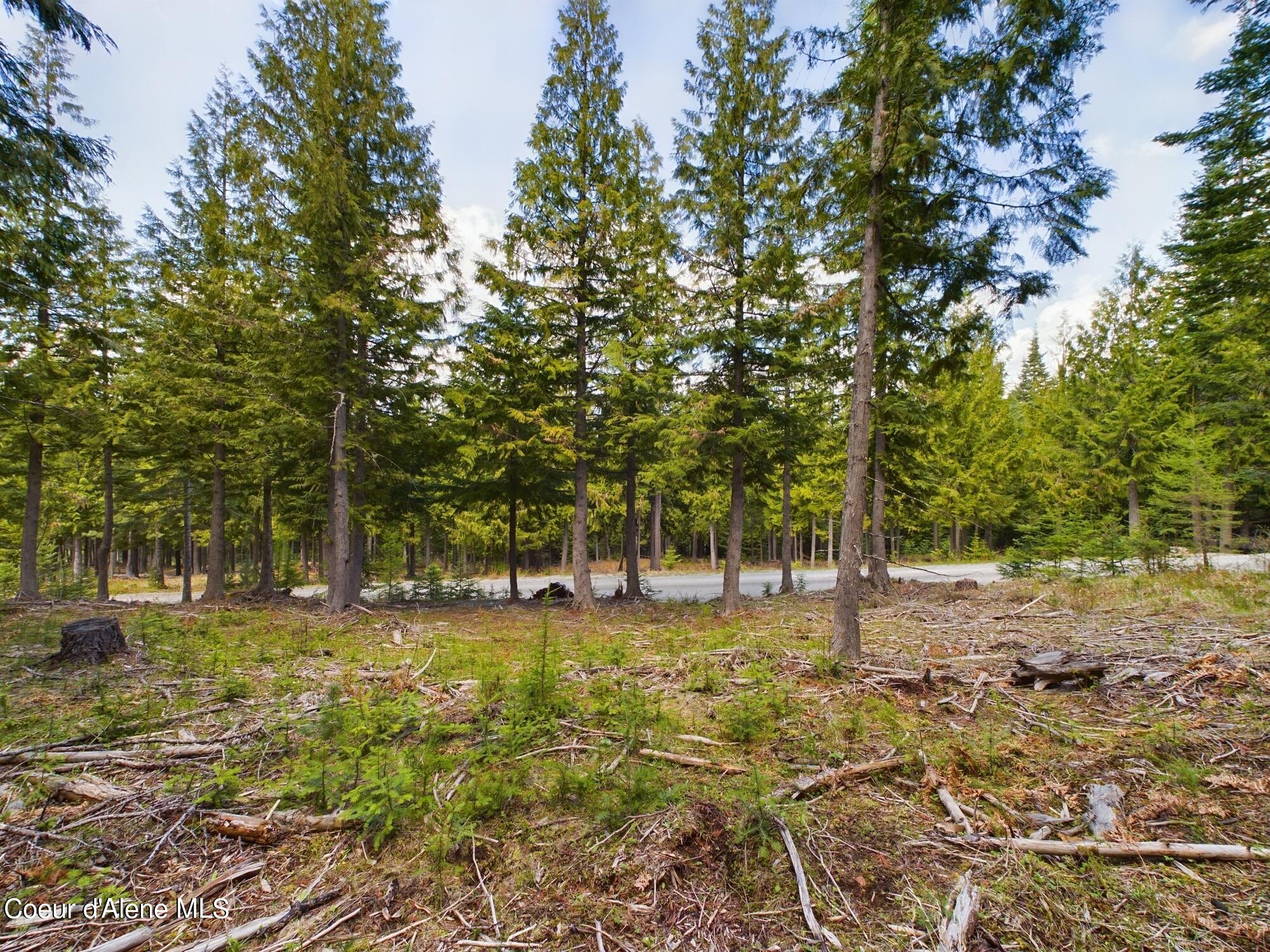 Lot 3 Moose Mountain, Kingston, Idaho image 6